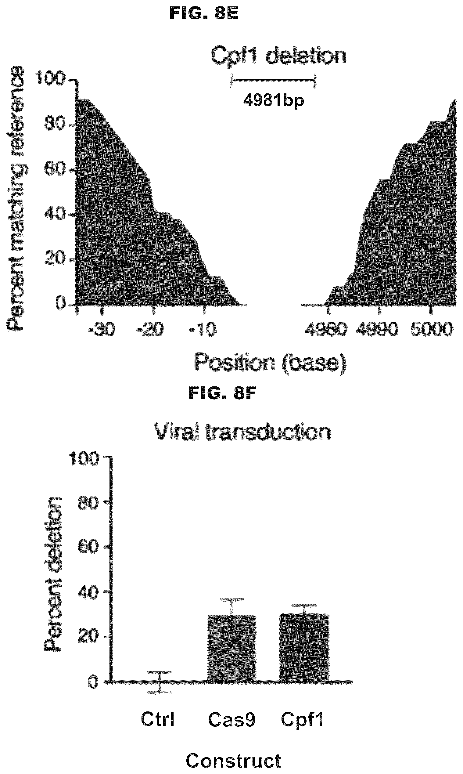 Patent US12460200 Figure 13 – Methods and compositions comprising CRISPR-Cpf1 and paired guide CRISPR RNAs for programmable genomic deletions