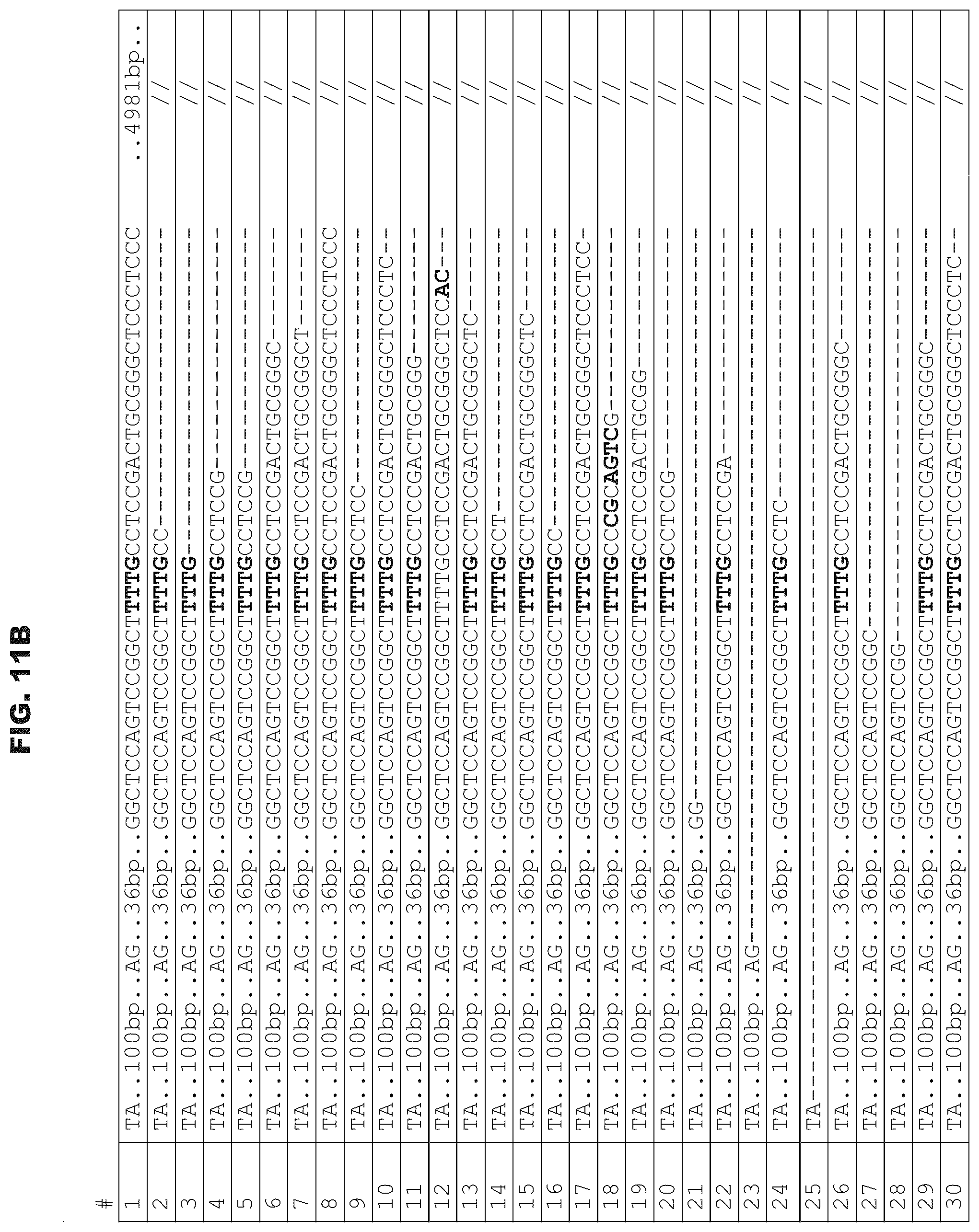 Patent US12460200 Figure 17 – Methods and compositions comprising CRISPR-Cpf1 and paired guide CRISPR RNAs for programmable genomic deletions