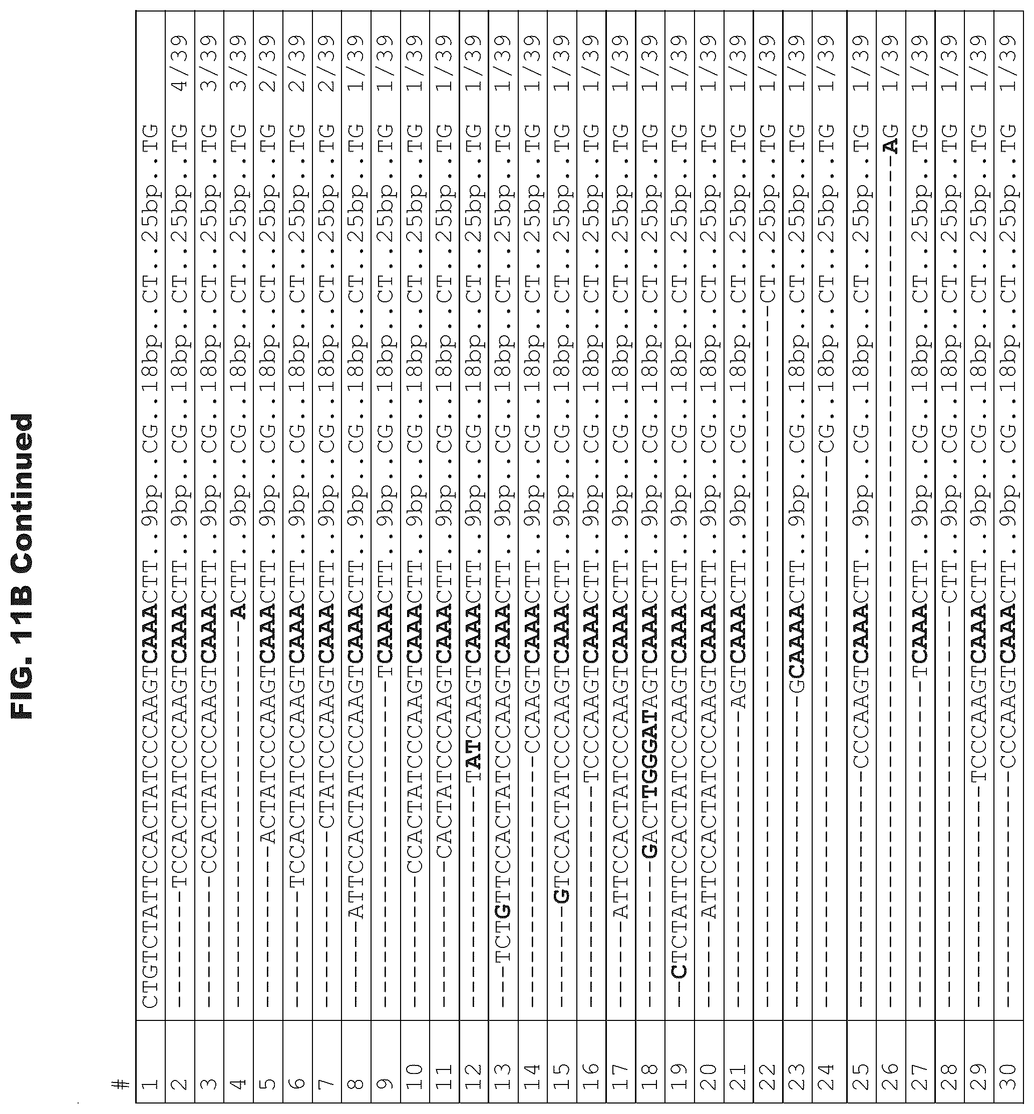 Patent US12460200 Figure 18 – Methods and compositions comprising CRISPR-Cpf1 and paired guide CRISPR RNAs for programmable genomic deletions