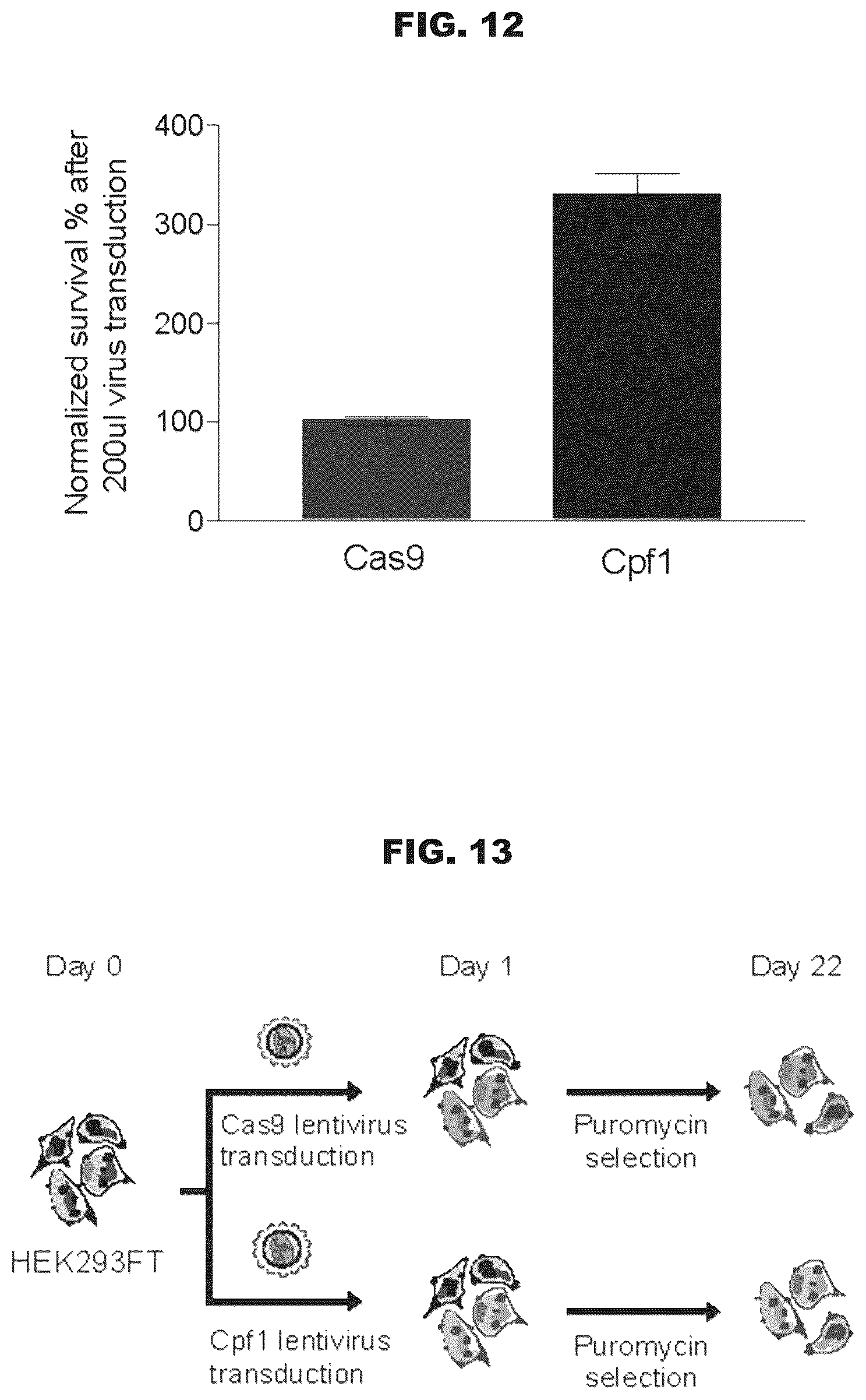 Patent US12460200 Figure 19 – Methods and compositions comprising CRISPR-Cpf1 and paired guide CRISPR RNAs for programmable genomic deletions