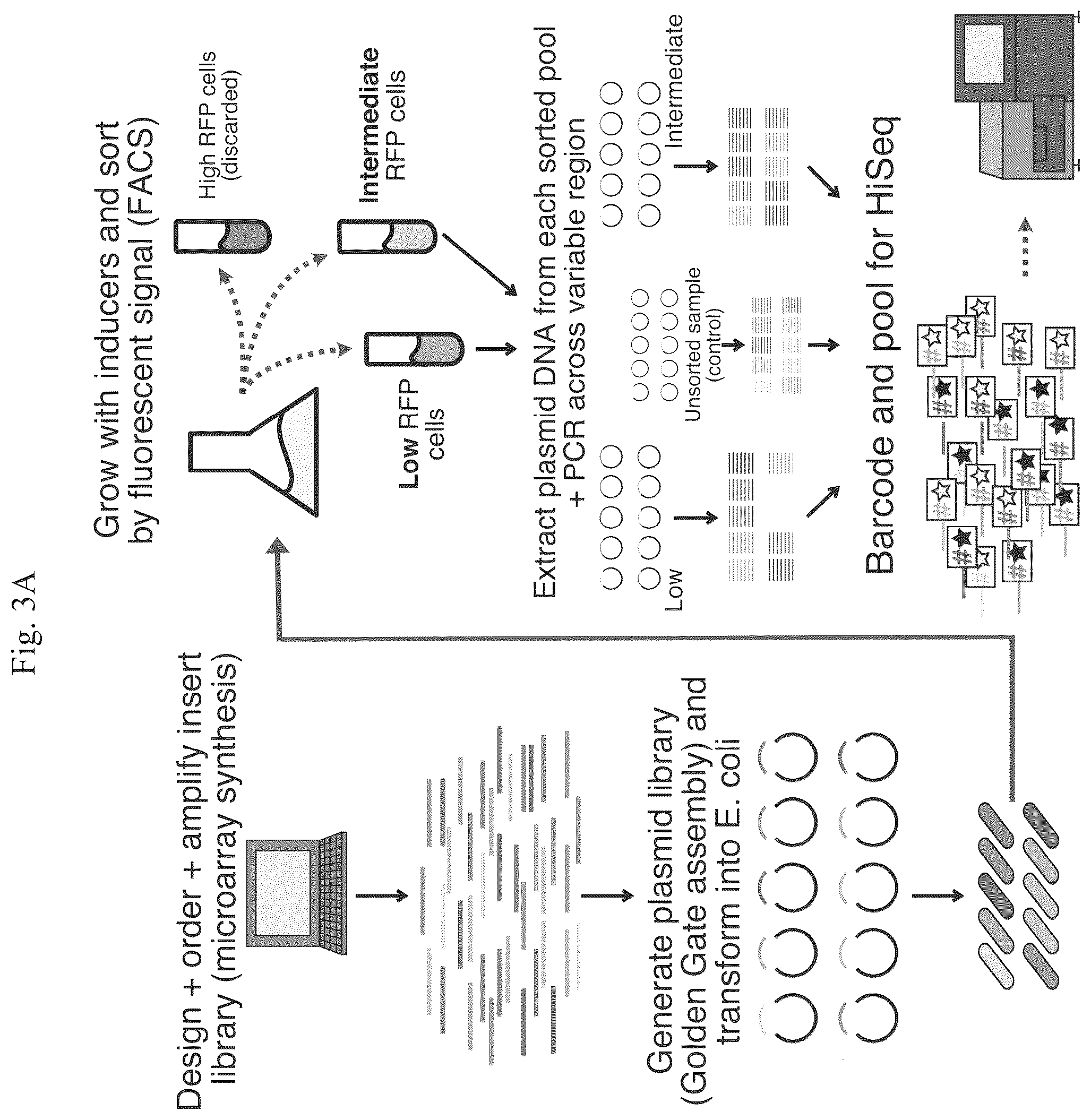 Patent US12460201 Figure 6 – Methods of multiplexing CRISPR