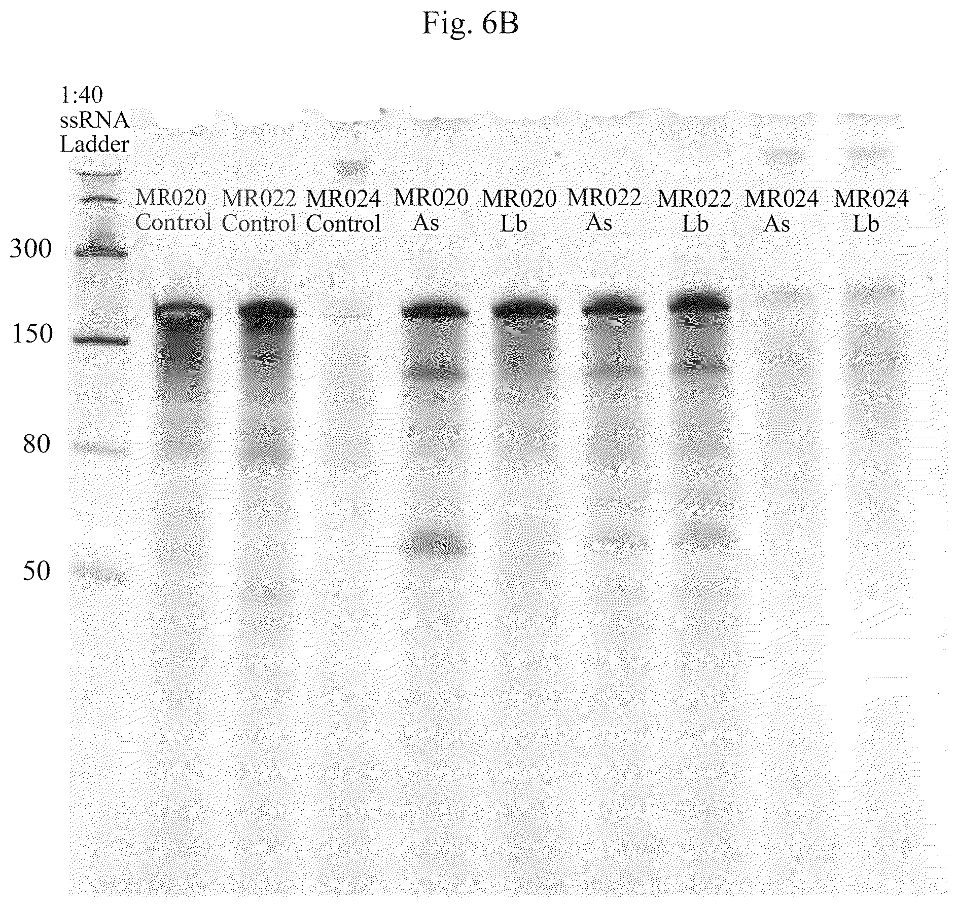 Patent US12460201 Figure 18 – Methods of multiplexing CRISPR