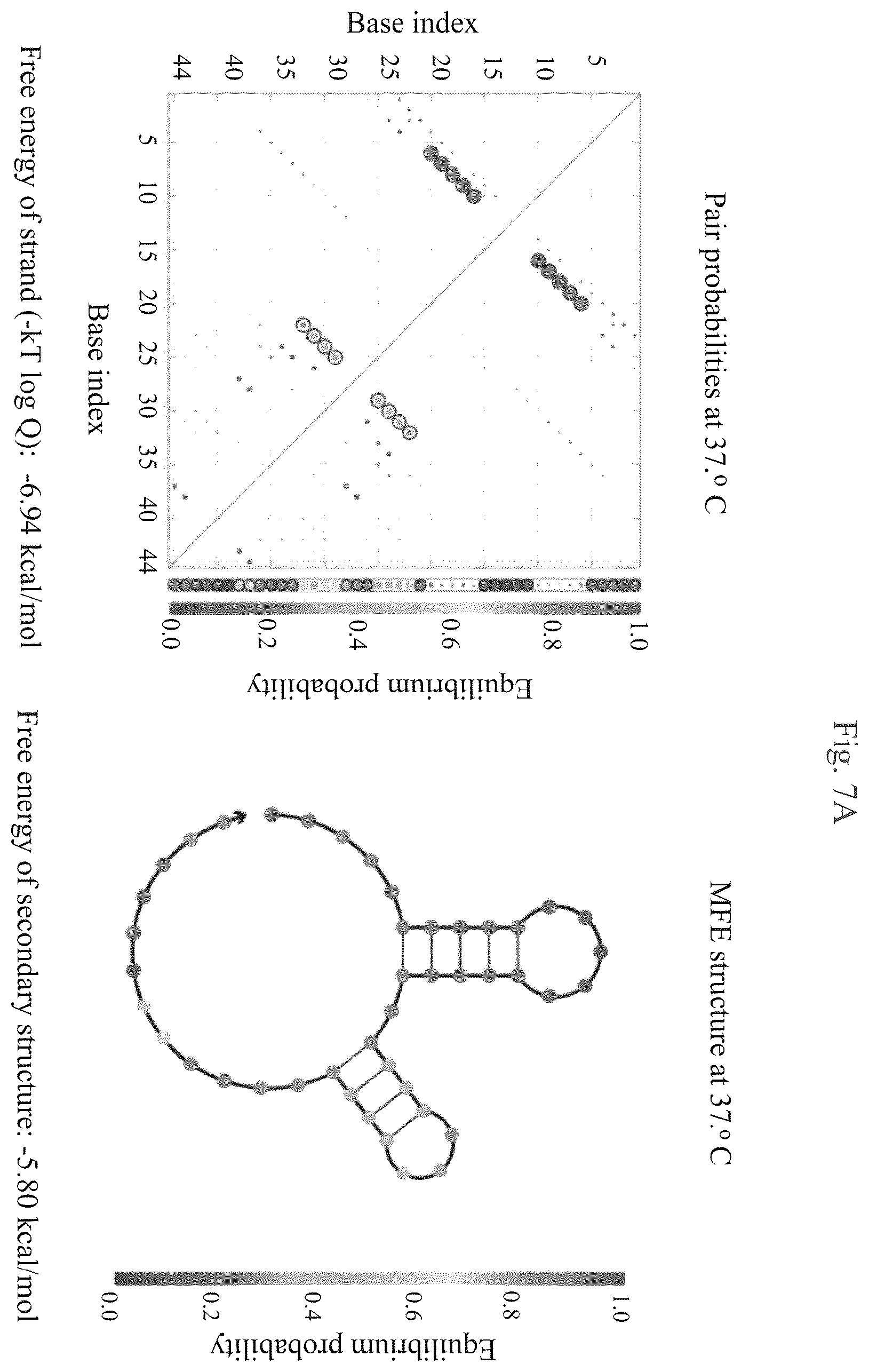 Patent US12460201 Figure 19 – Methods of multiplexing CRISPR