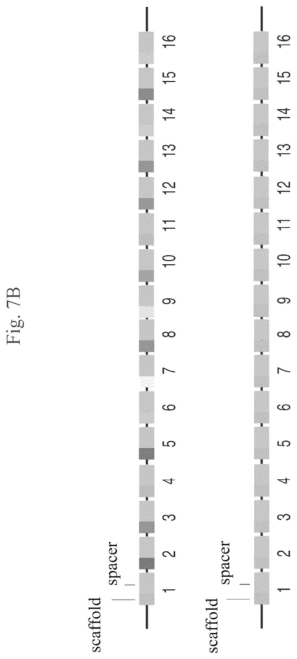 Patent US12460201 Figure 20 – Methods of multiplexing CRISPR
