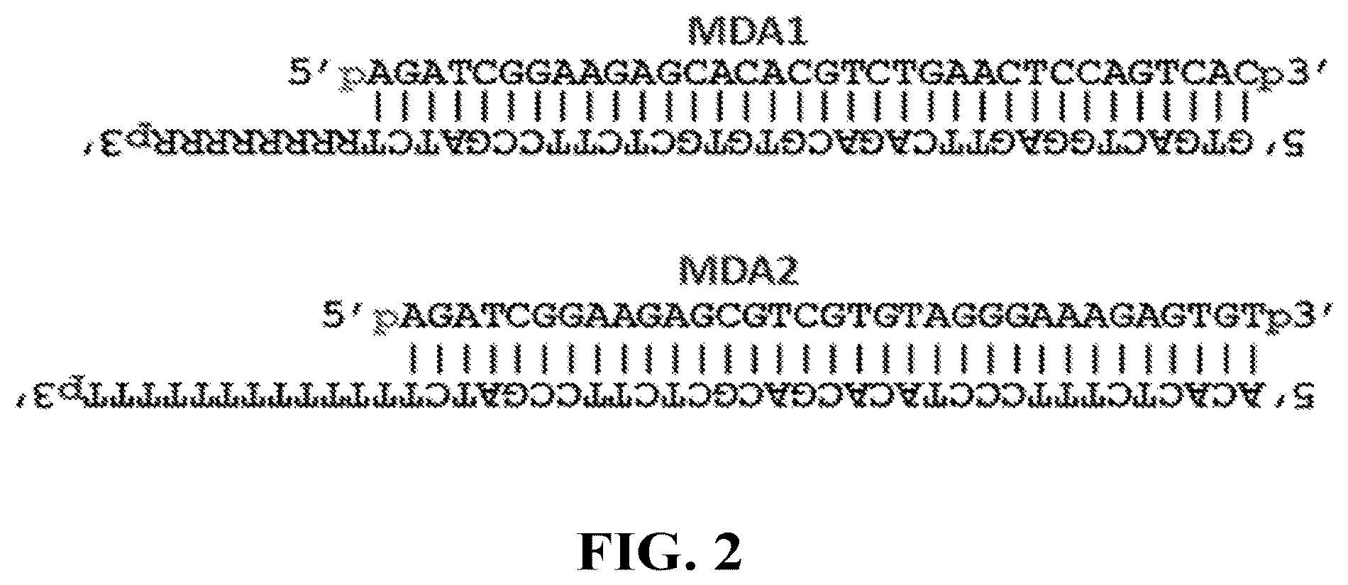 Patent US12460202 Figure 2 – Compositions and methods for preparing nucleic acid libraries