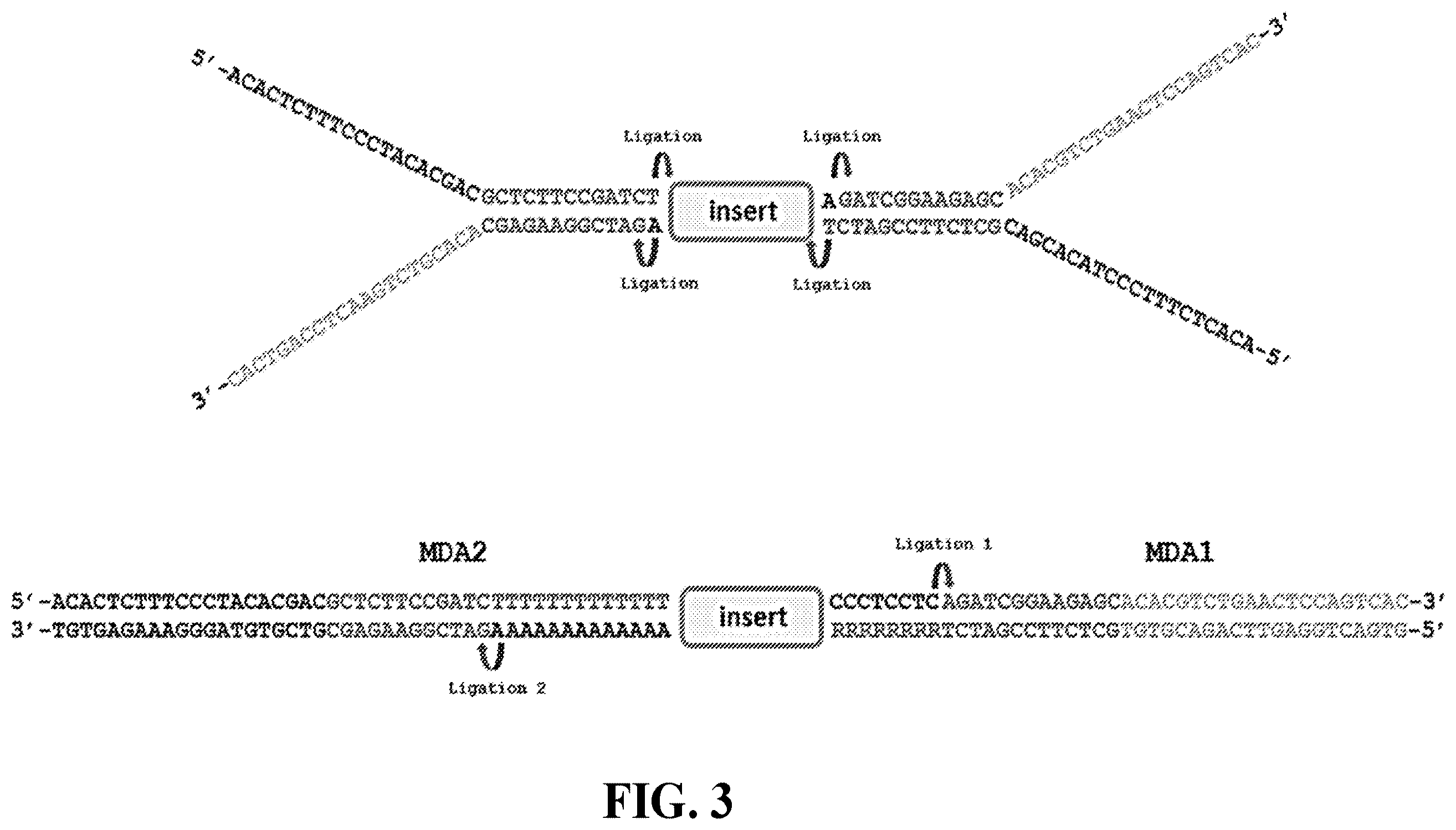 Patent US12460202 Figure 3 – Compositions and methods for preparing nucleic acid libraries