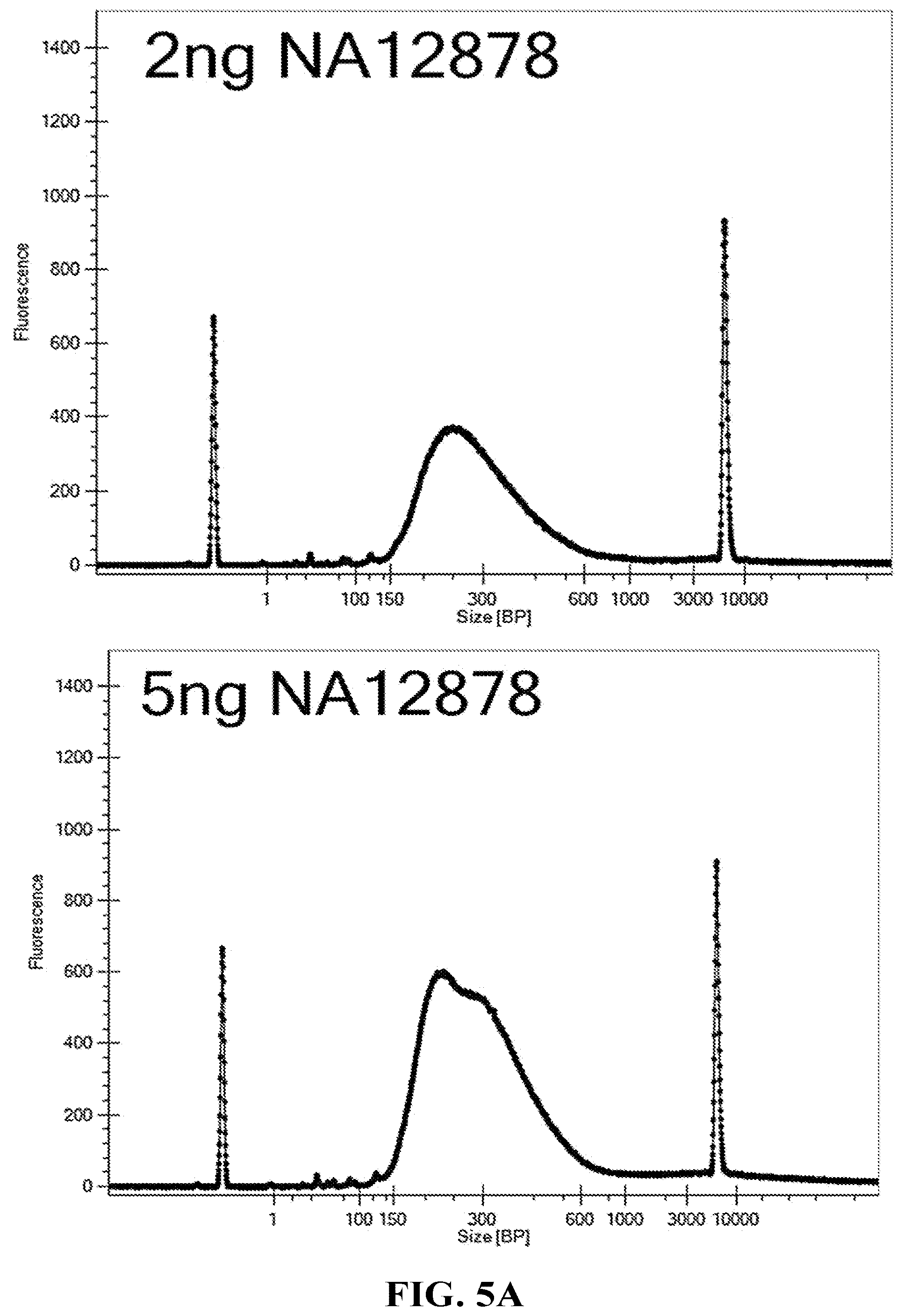 Patent US12460202 Figure 5 – Compositions and methods for preparing nucleic acid libraries