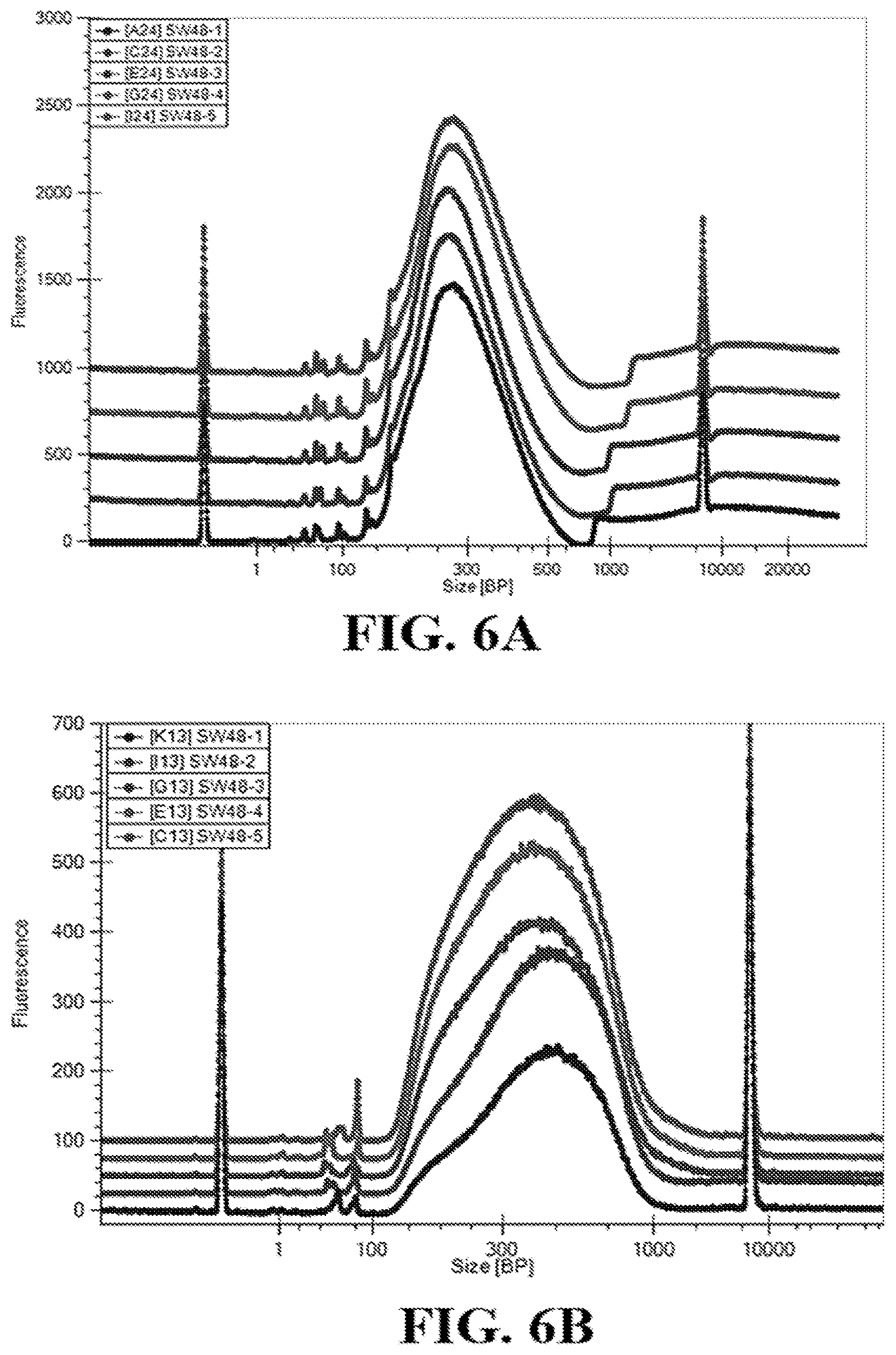 Patent US12460202 Figure 8 – Compositions and methods for preparing nucleic acid libraries