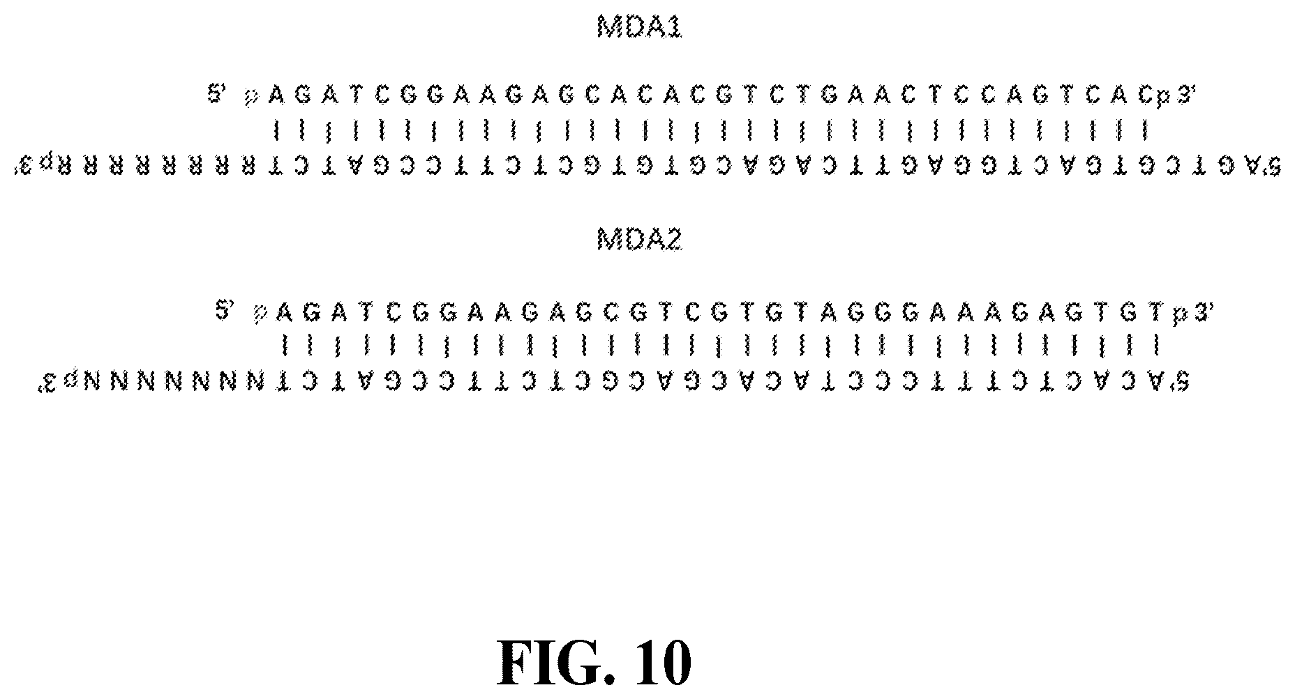 Patent US12460202 Figure 12 – Compositions and methods for preparing nucleic acid libraries