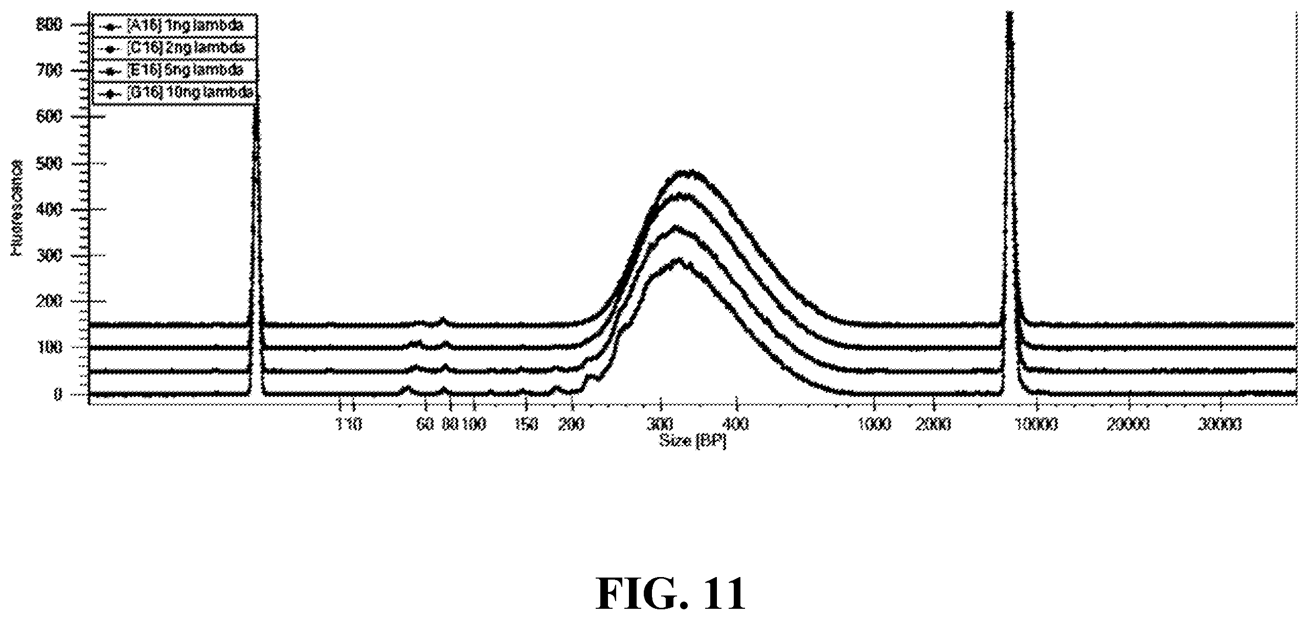Patent US12460202 Figure 13 – Compositions and methods for preparing nucleic acid libraries