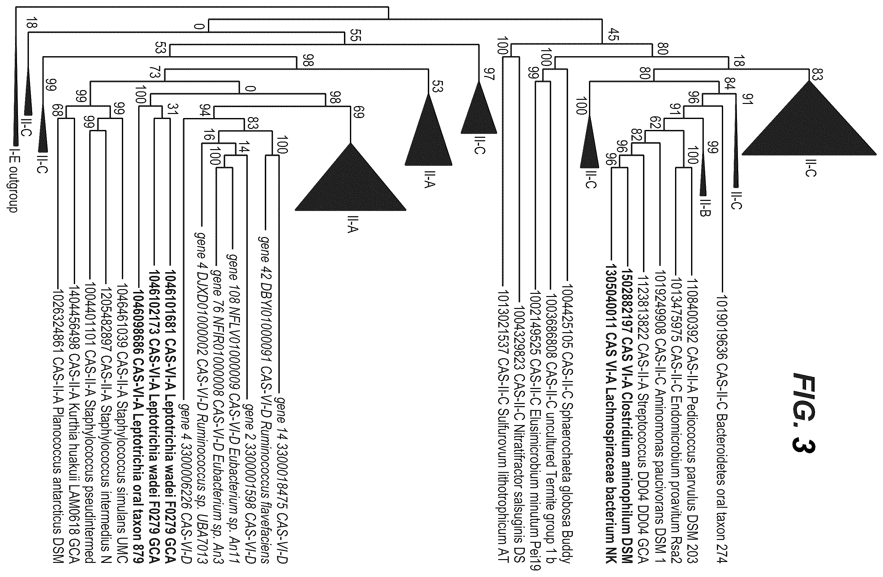 Patent US12460203 Figure 4 – CRISPR RNA targeting enzymes and systems and uses thereof