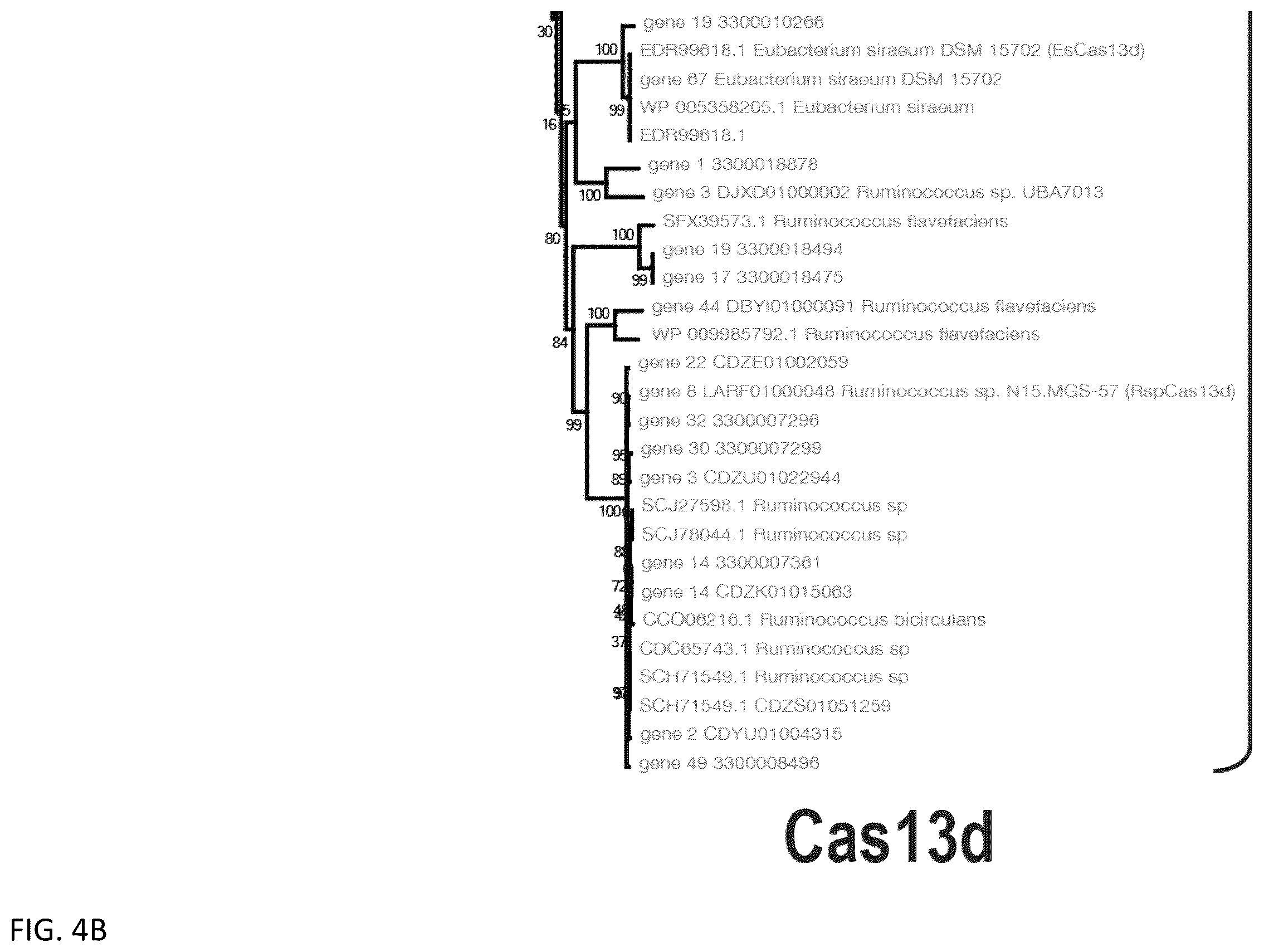 Patent US12460203 Figure 6 – CRISPR RNA targeting enzymes and systems and uses thereof
