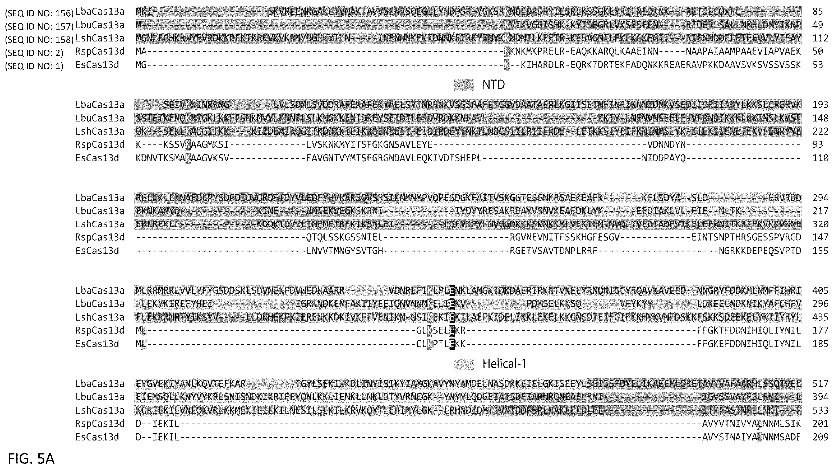 Patent US12460203 Figure 7 – CRISPR RNA targeting enzymes and systems and uses thereof