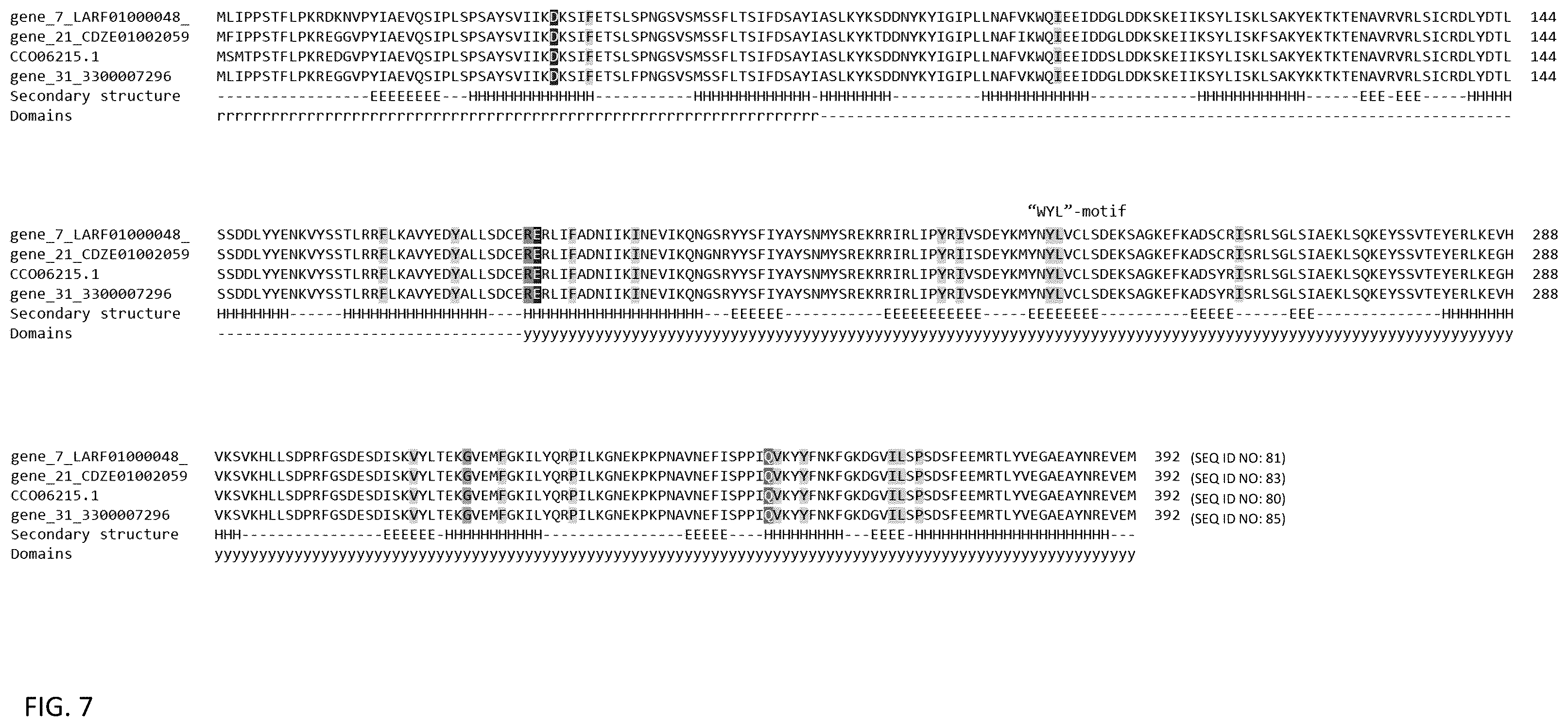 Patent US12460203 Figure 11 – CRISPR RNA targeting enzymes and systems and uses thereof