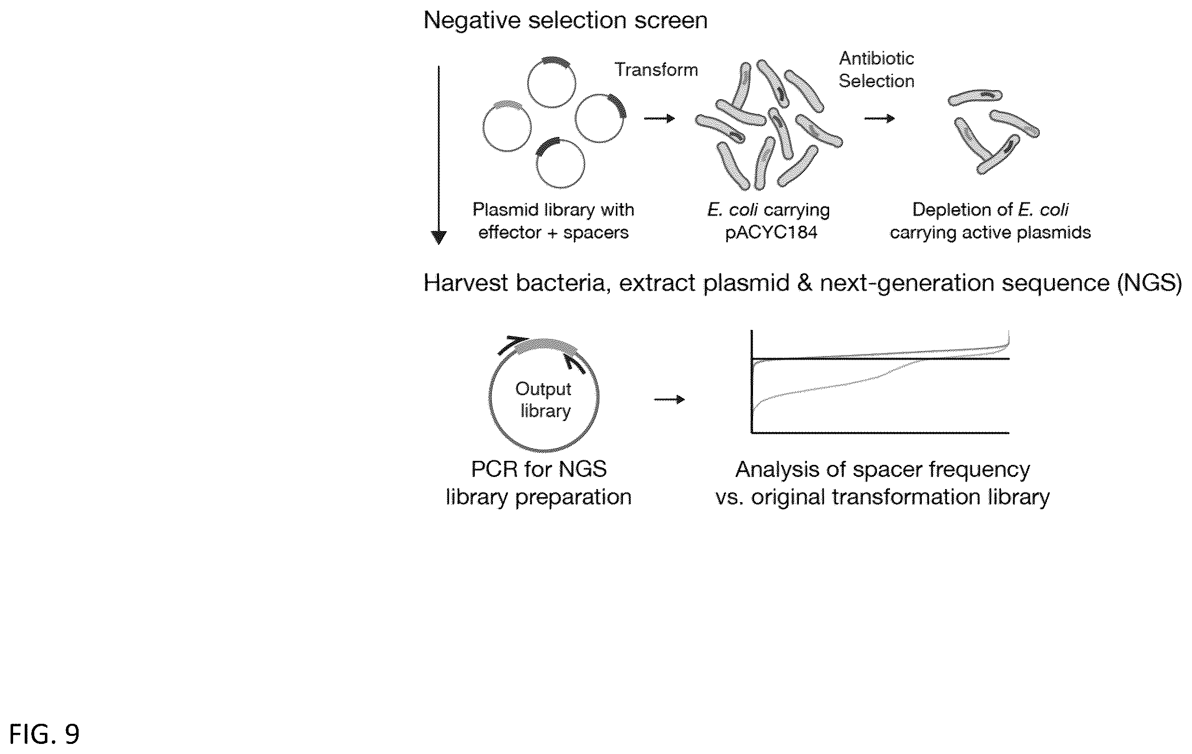 Patent US12460203 Figure 13 – CRISPR RNA targeting enzymes and systems and uses thereof