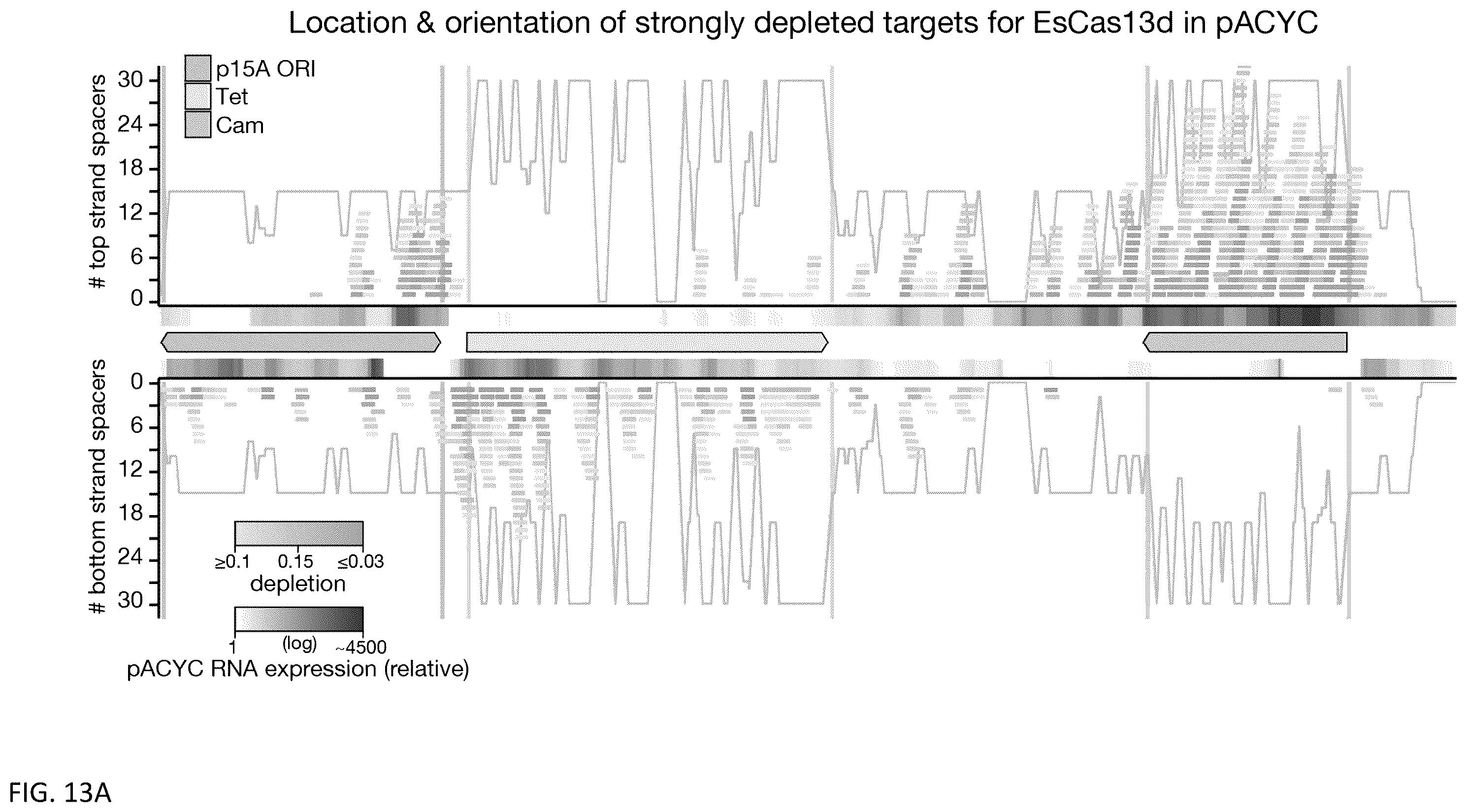 Patent US12460203 Figure 18 – CRISPR RNA targeting enzymes and systems and uses thereof