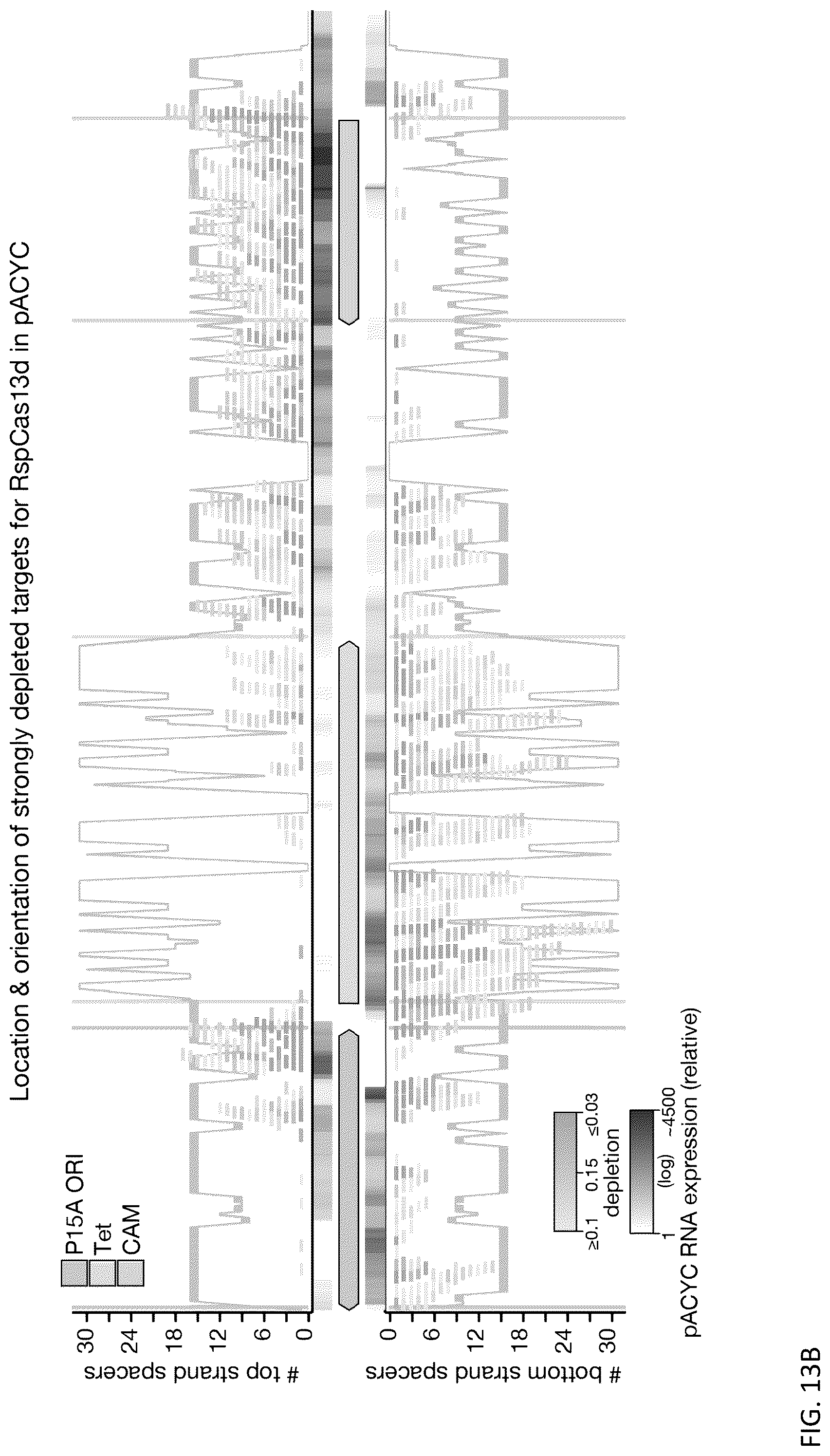 Patent US12460203 Figure 19 – CRISPR RNA targeting enzymes and systems and uses thereof