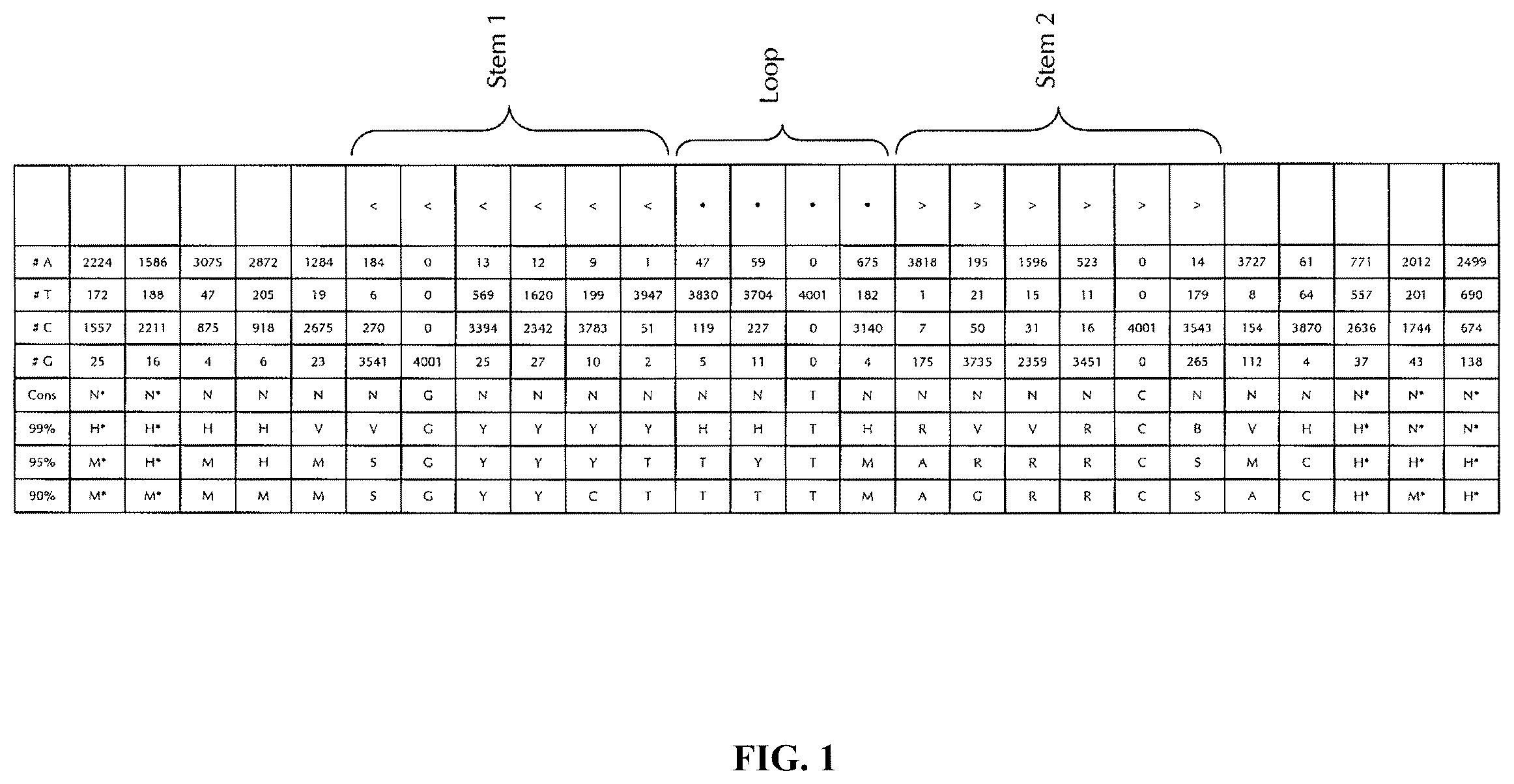 Patent US12460204 Figure 1 – Artificial nucleic acid molecules for improved protein or peptide expression