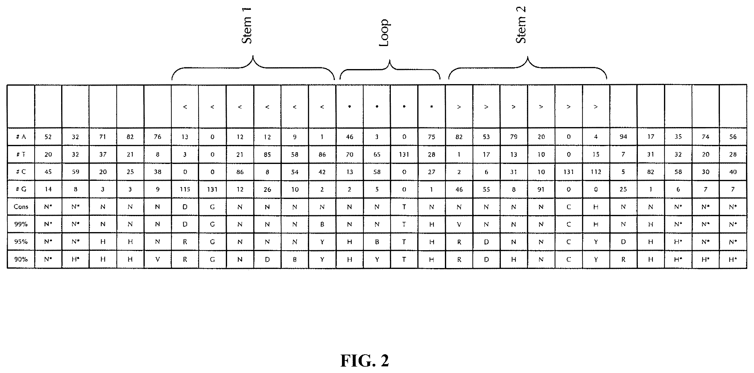Patent US12460204 Figure 2 – Artificial nucleic acid molecules for improved protein or peptide expression