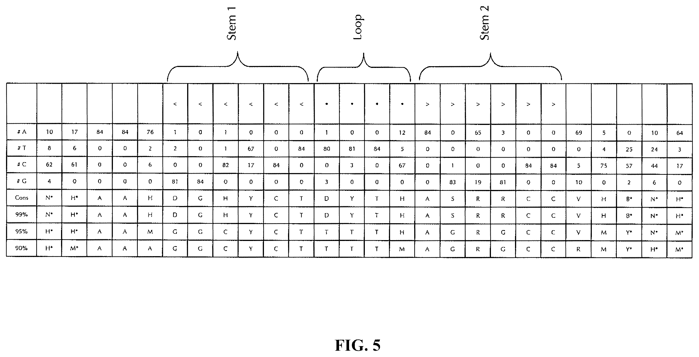 Patent US12460204 Figure 5 – Artificial nucleic acid molecules for improved protein or peptide expression