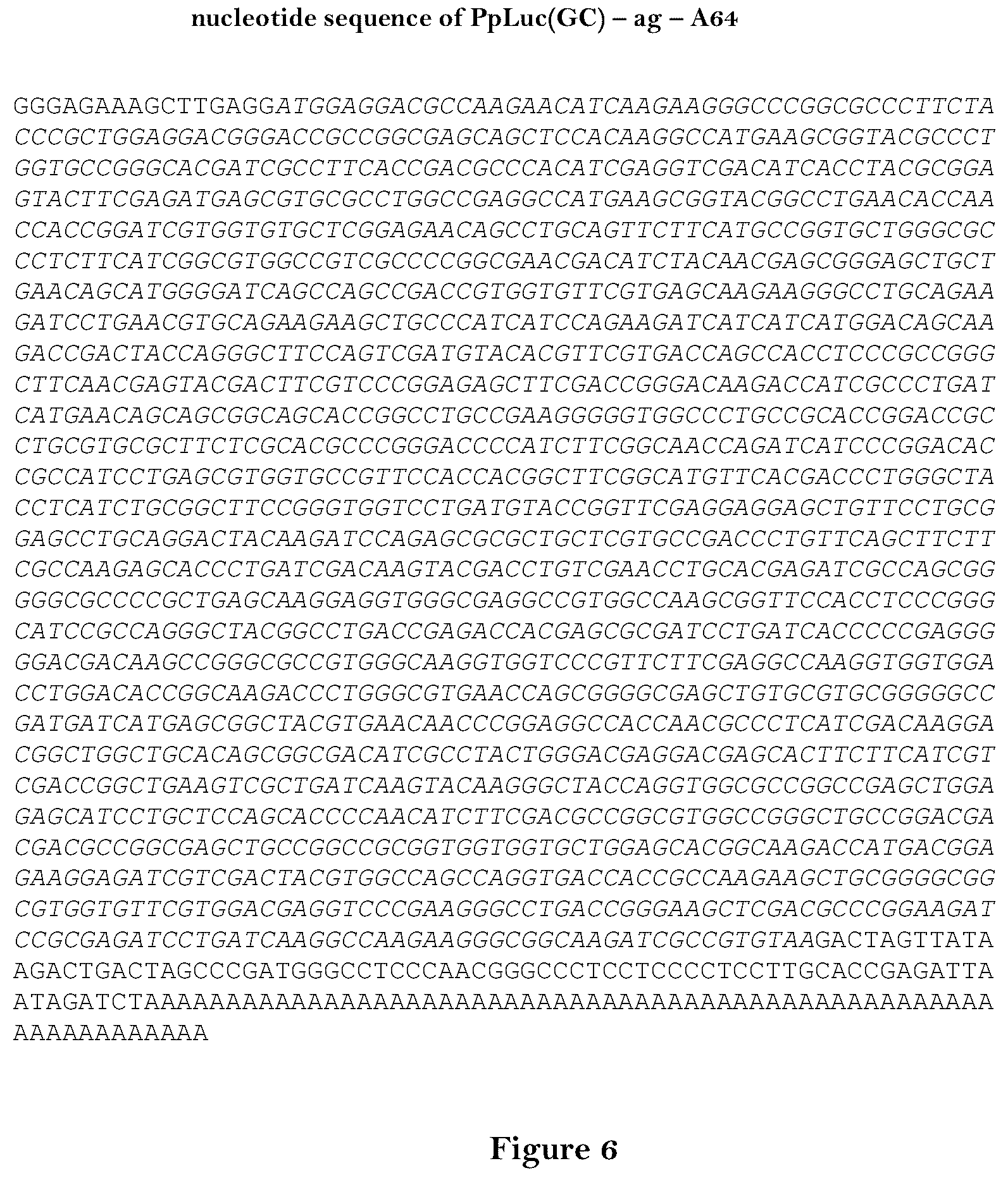 Patent US12460204 Figure 6 – Artificial nucleic acid molecules for improved protein or peptide expression