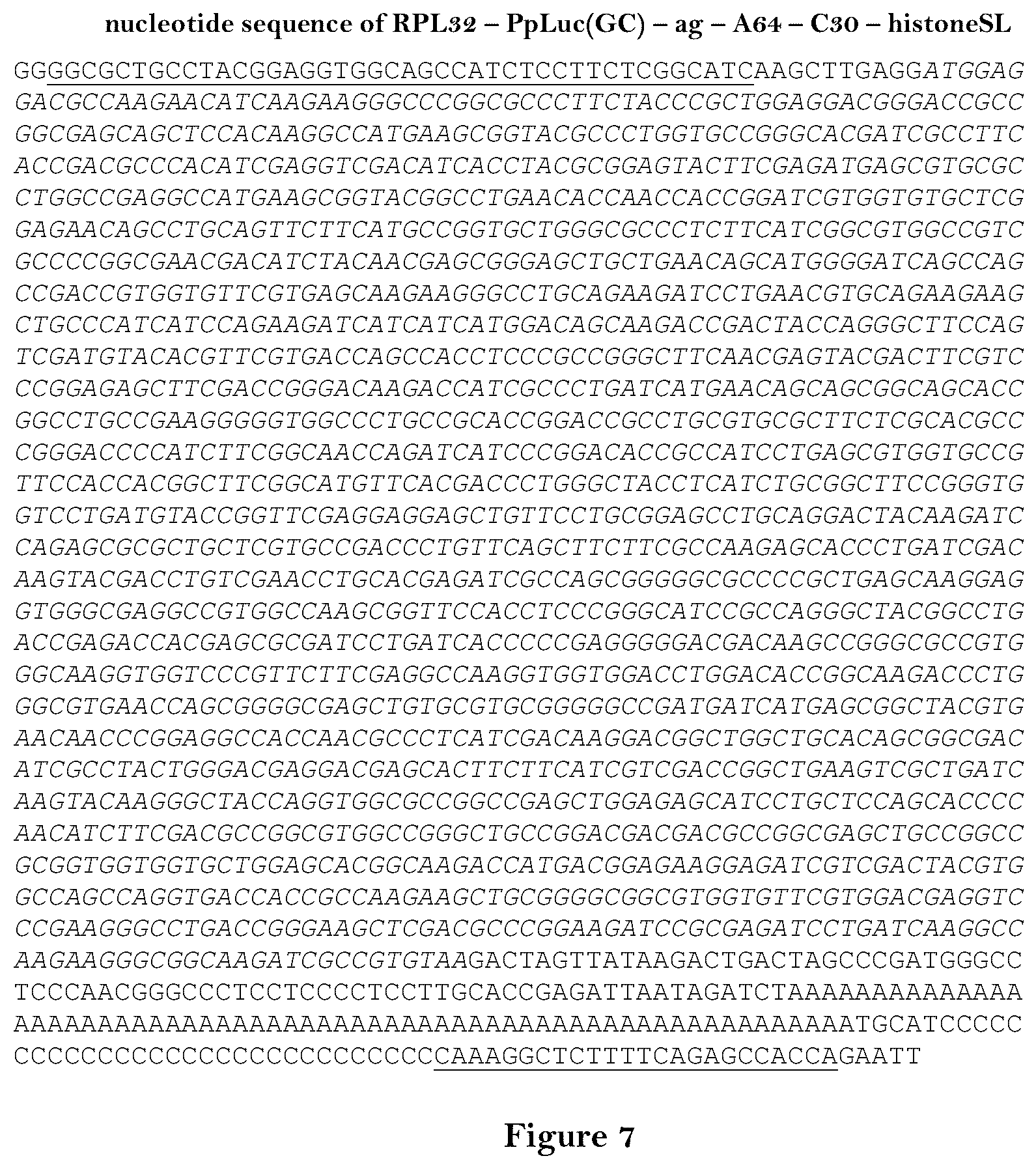 Patent US12460204 Figure 7 – Artificial nucleic acid molecules for improved protein or peptide expression