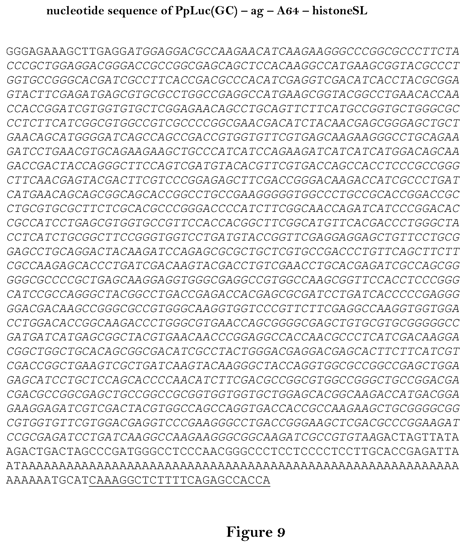 Patent US12460204 Figure 9 – Artificial nucleic acid molecules for improved protein or peptide expression