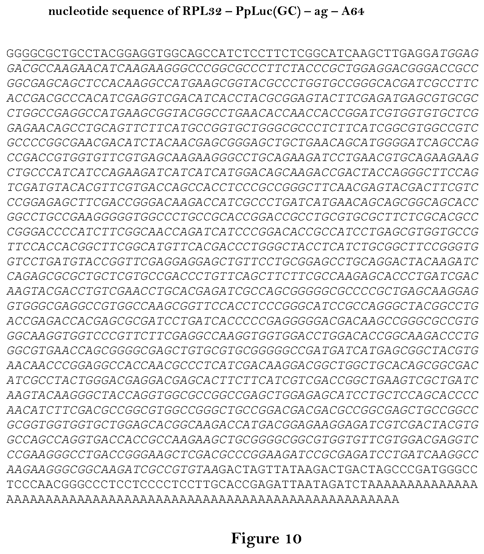 Patent US12460204 Figure 10 – Artificial nucleic acid molecules for improved protein or peptide expression