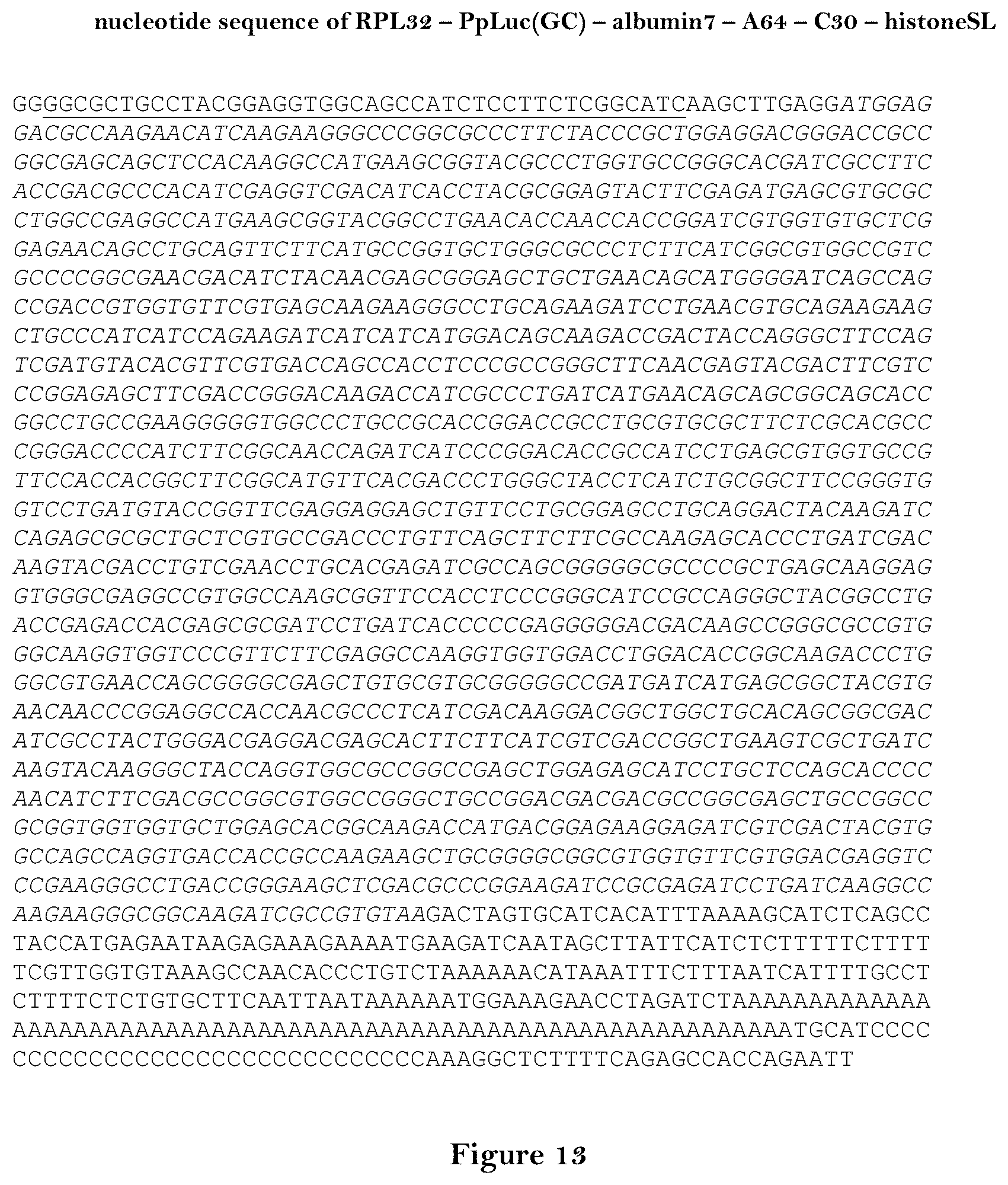 Patent US12460204 Figure 13 – Artificial nucleic acid molecules for improved protein or peptide expression