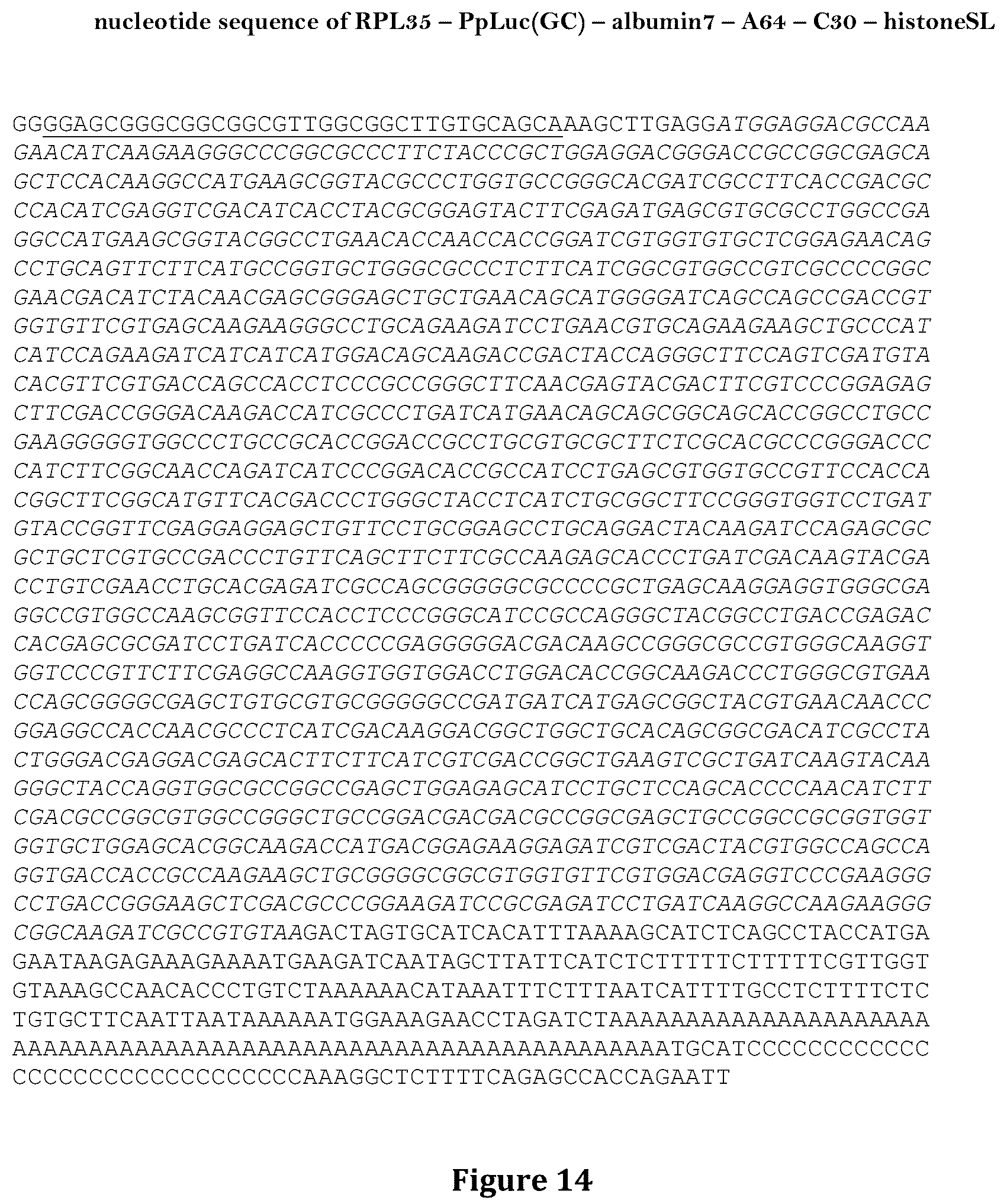 Patent US12460204 Figure 14 – Artificial nucleic acid molecules for improved protein or peptide expression