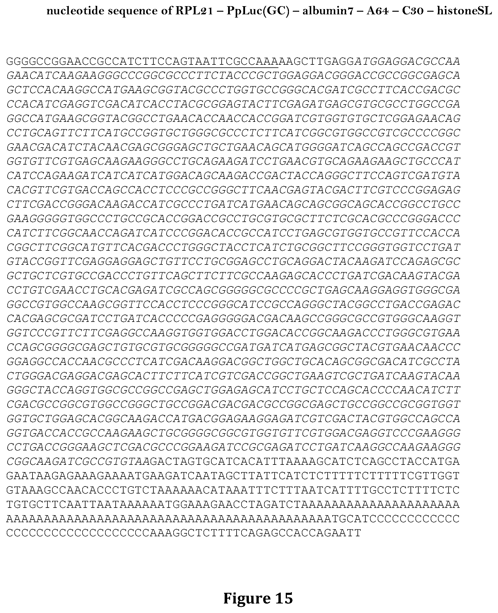 Patent US12460204 Figure 15 – Artificial nucleic acid molecules for improved protein or peptide expression