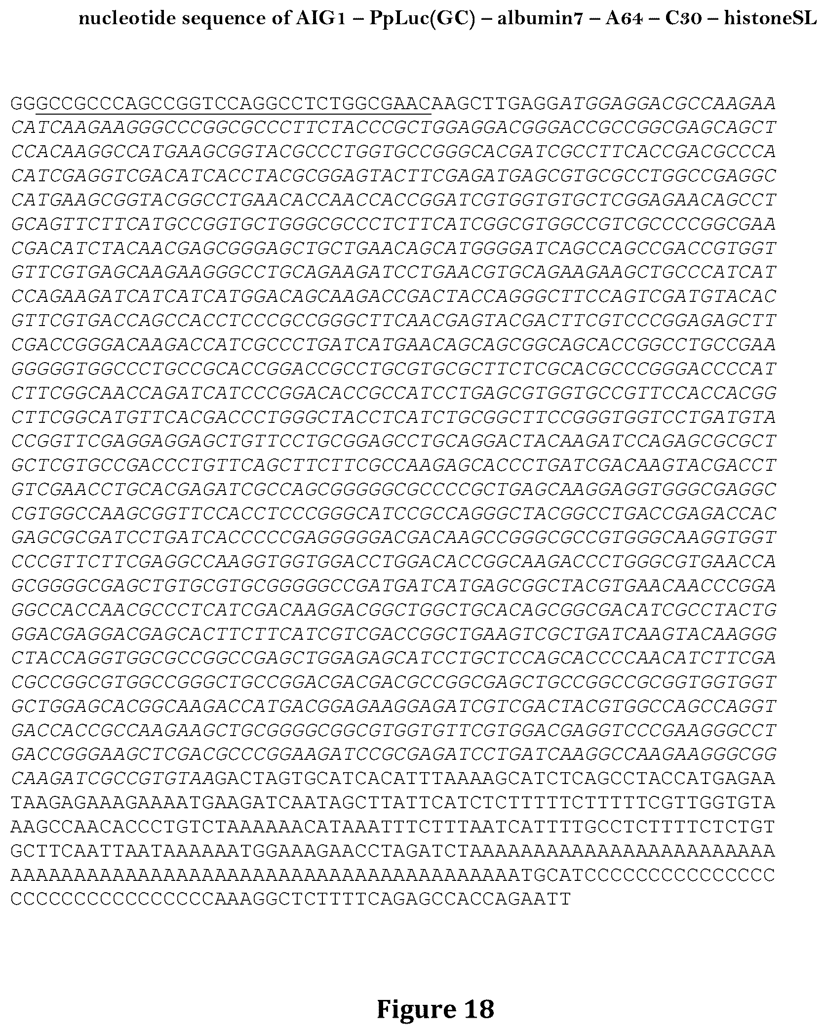 Patent US12460204 Figure 18 – Artificial nucleic acid molecules for improved protein or peptide expression