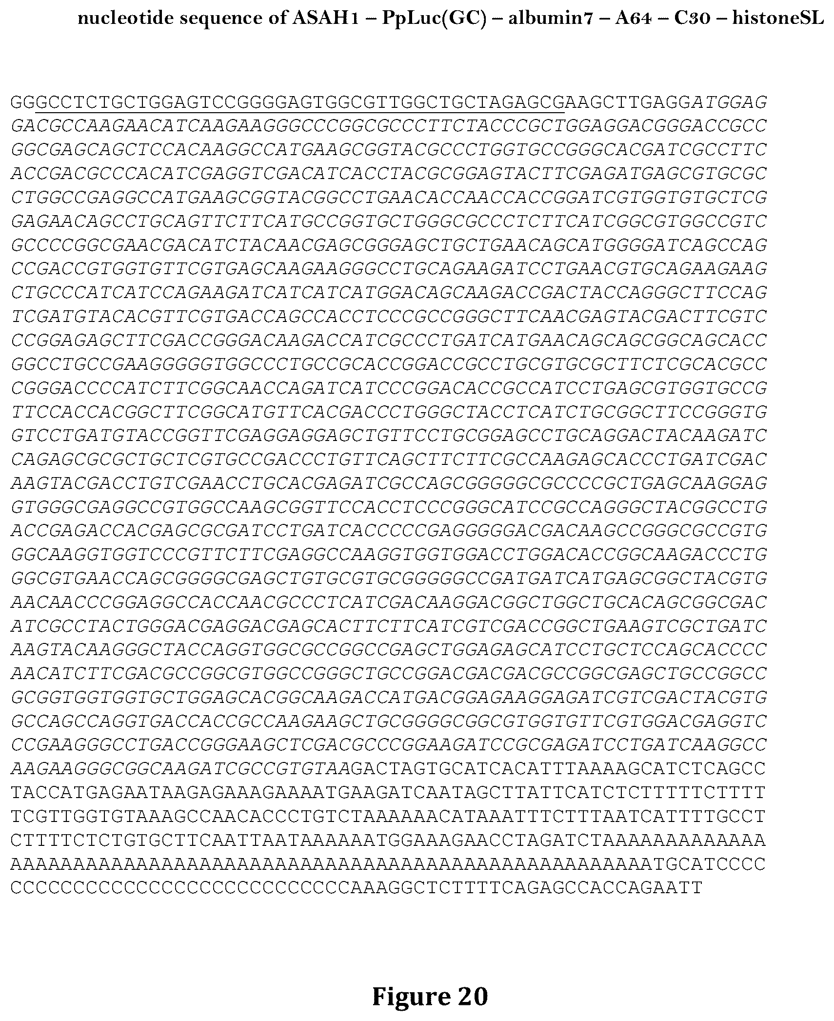 Patent US12460204 Figure 20 – Artificial nucleic acid molecules for improved protein or peptide expression