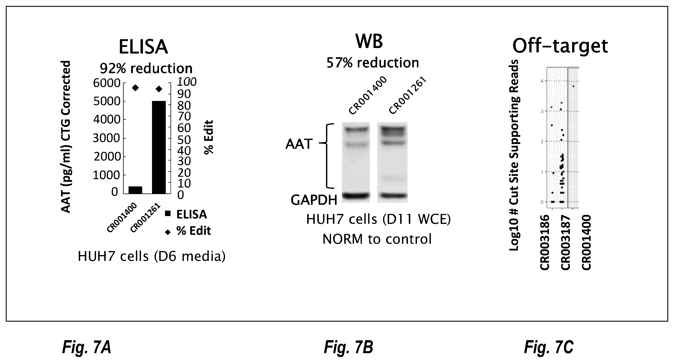 Patent US12460205 Figure 7 – Compositions and methods for treating alpha-1 antitrypsin deficiency