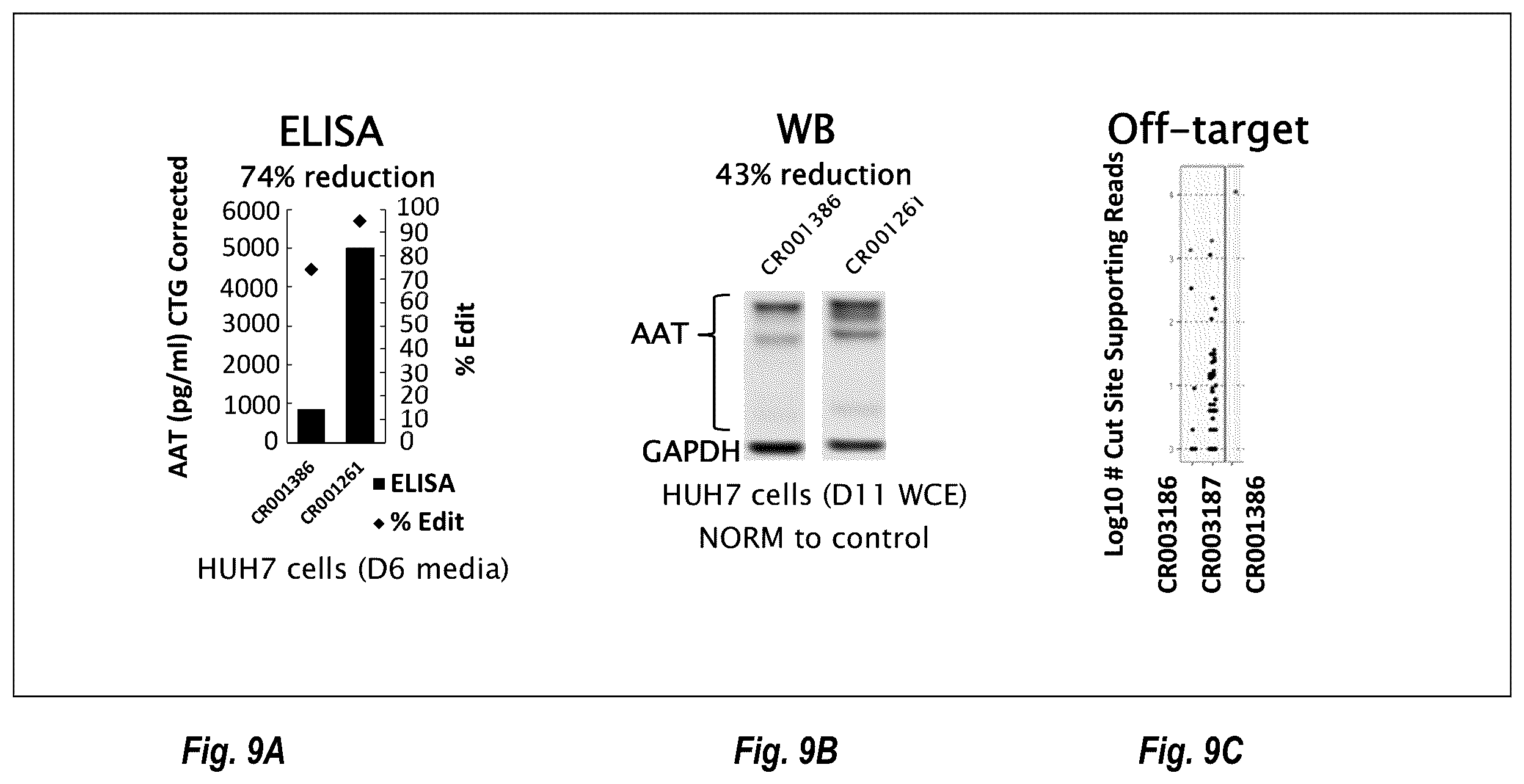 Patent US12460205 Figure 9 – Compositions and methods for treating alpha-1 antitrypsin deficiency