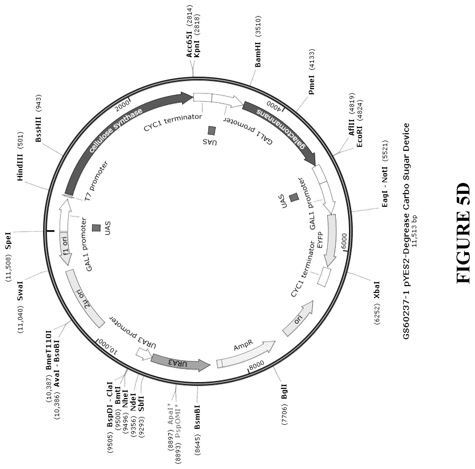 Patent US12460212 Figure 12 – Anti-microbial and UV-protective extracts and methods of making and using thereof