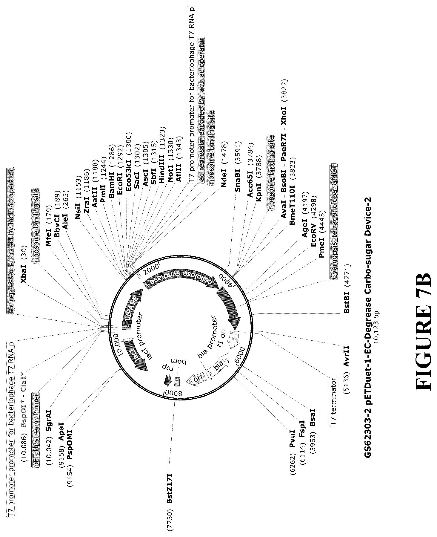 Patent US12460212 Figure 16 – Anti-microbial and UV-protective extracts and methods of making and using thereof