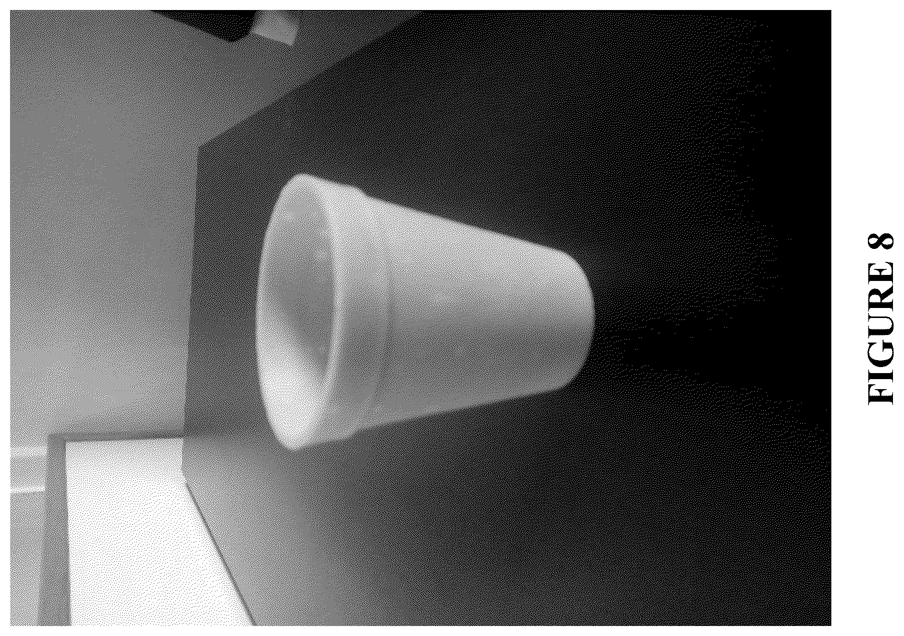Patent US12460212 Figure 17 – Anti-microbial and UV-protective extracts and methods of making and using thereof