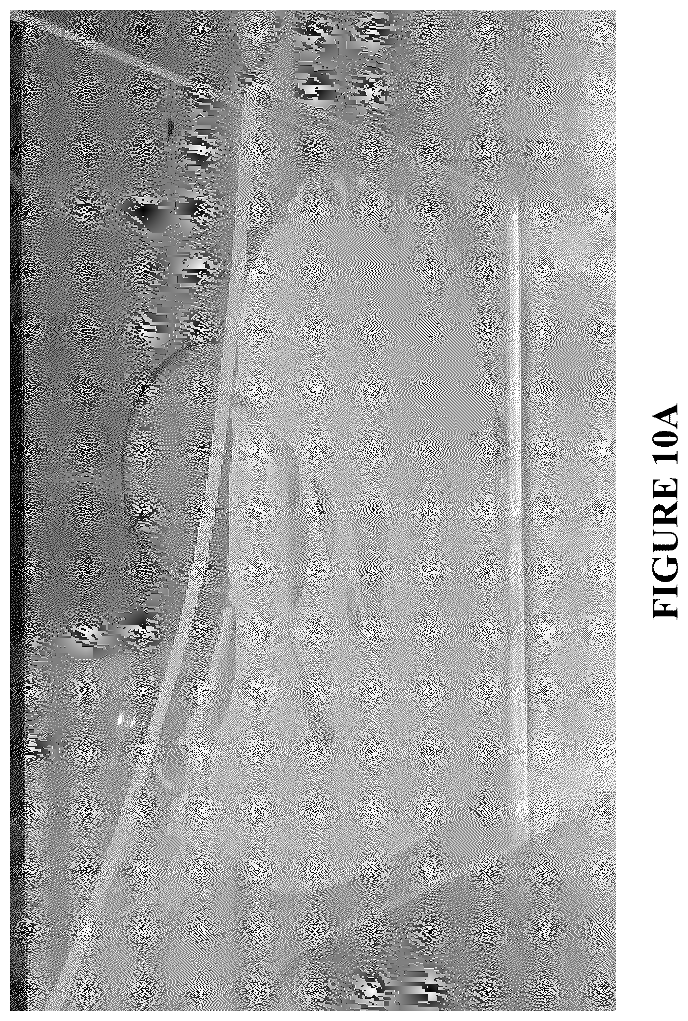 Patent US12460212 Figure 19 – Anti-microbial and UV-protective extracts and methods of making and using thereof