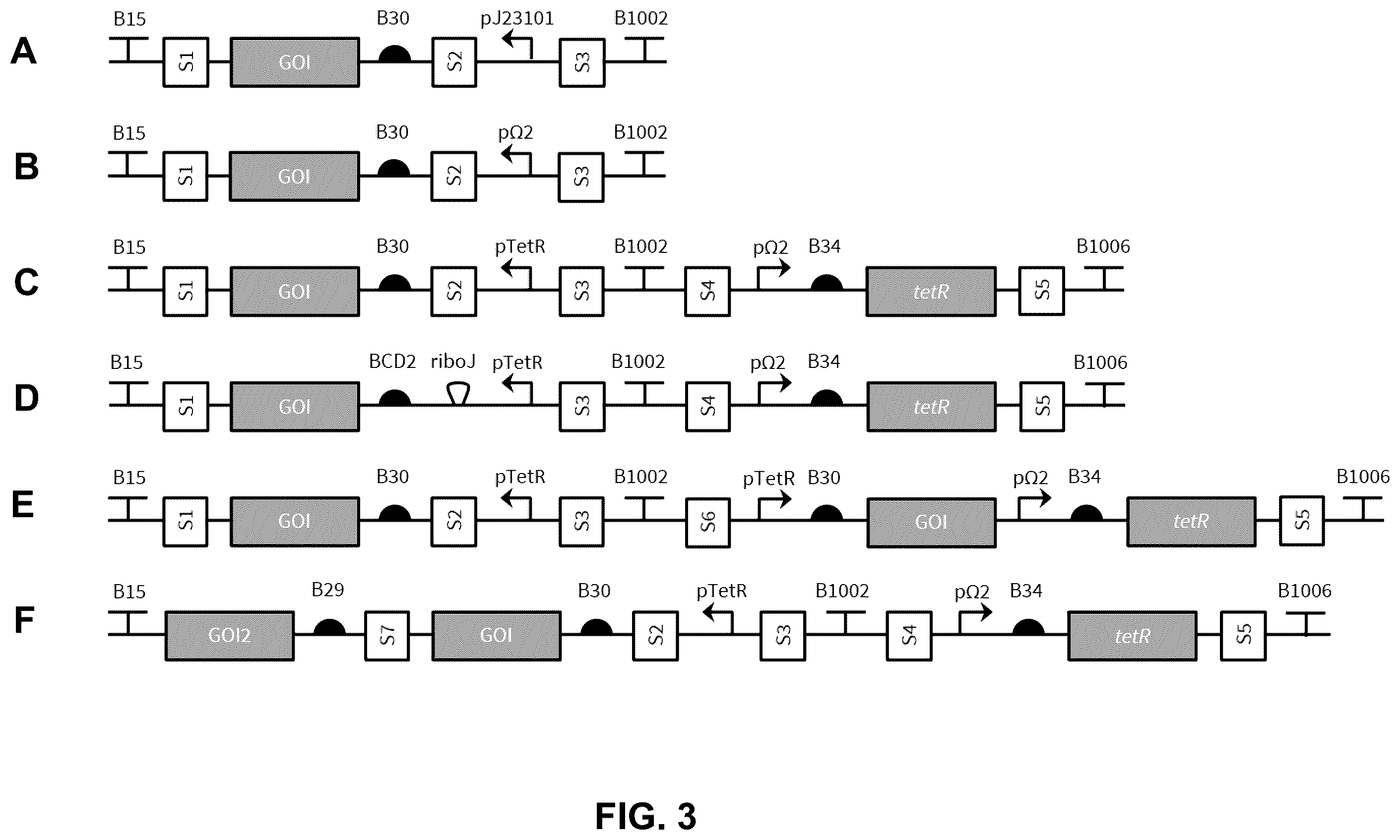 Patent US12460213 Figure 2 – Inducible ammonia production from a symbiotic diazotroph, methods of creation and uses thereof
