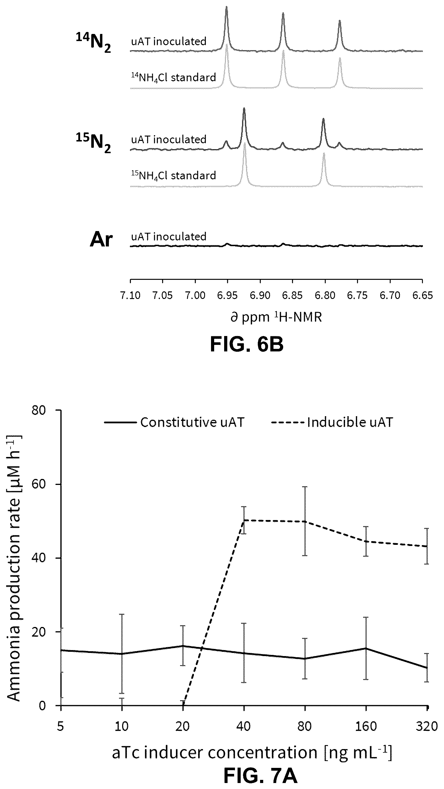 Patent US12460213 Figure 6 – Inducible ammonia production from a symbiotic diazotroph, methods of creation and uses thereof