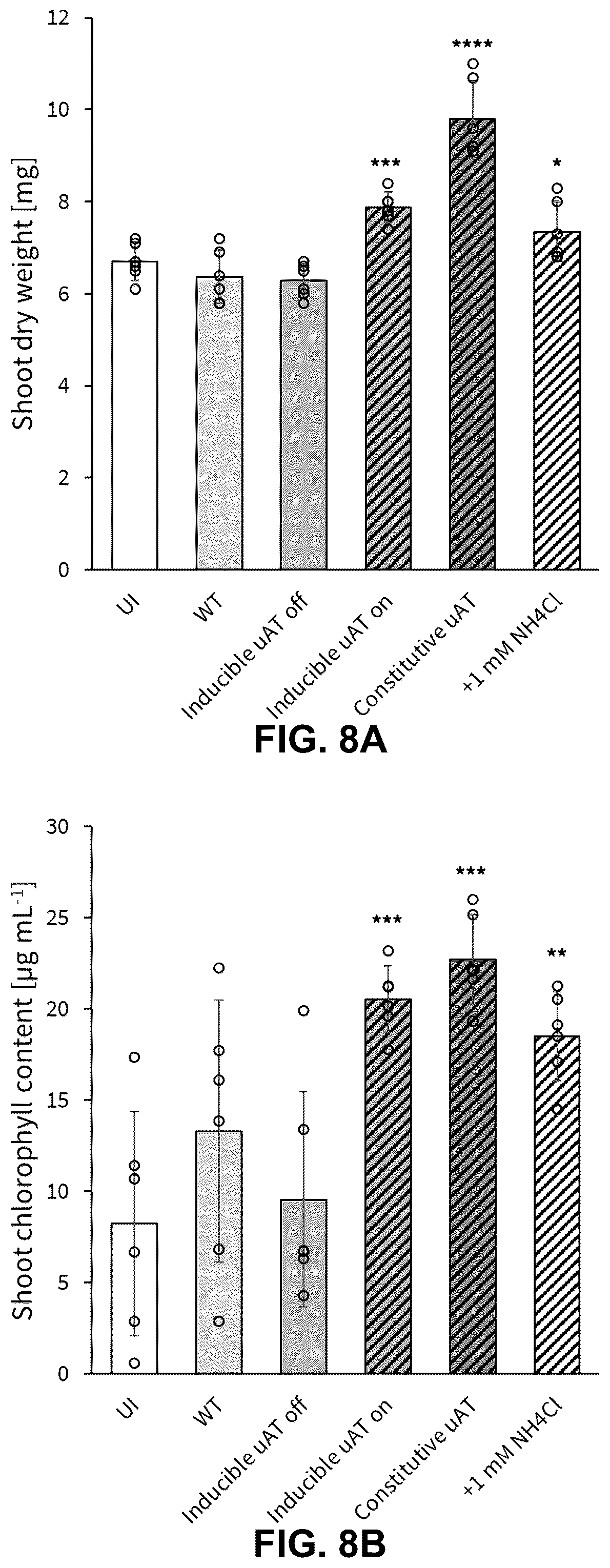 Patent US12460213 Figure 8 – Inducible ammonia production from a symbiotic diazotroph, methods of creation and uses thereof
