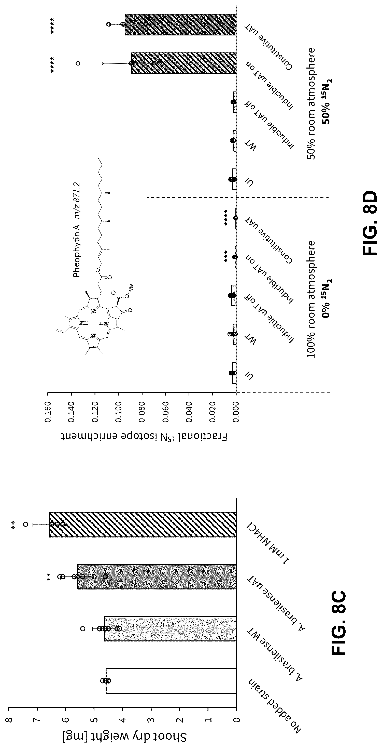 Patent US12460213 Figure 9 – Inducible ammonia production from a symbiotic diazotroph, methods of creation and uses thereof