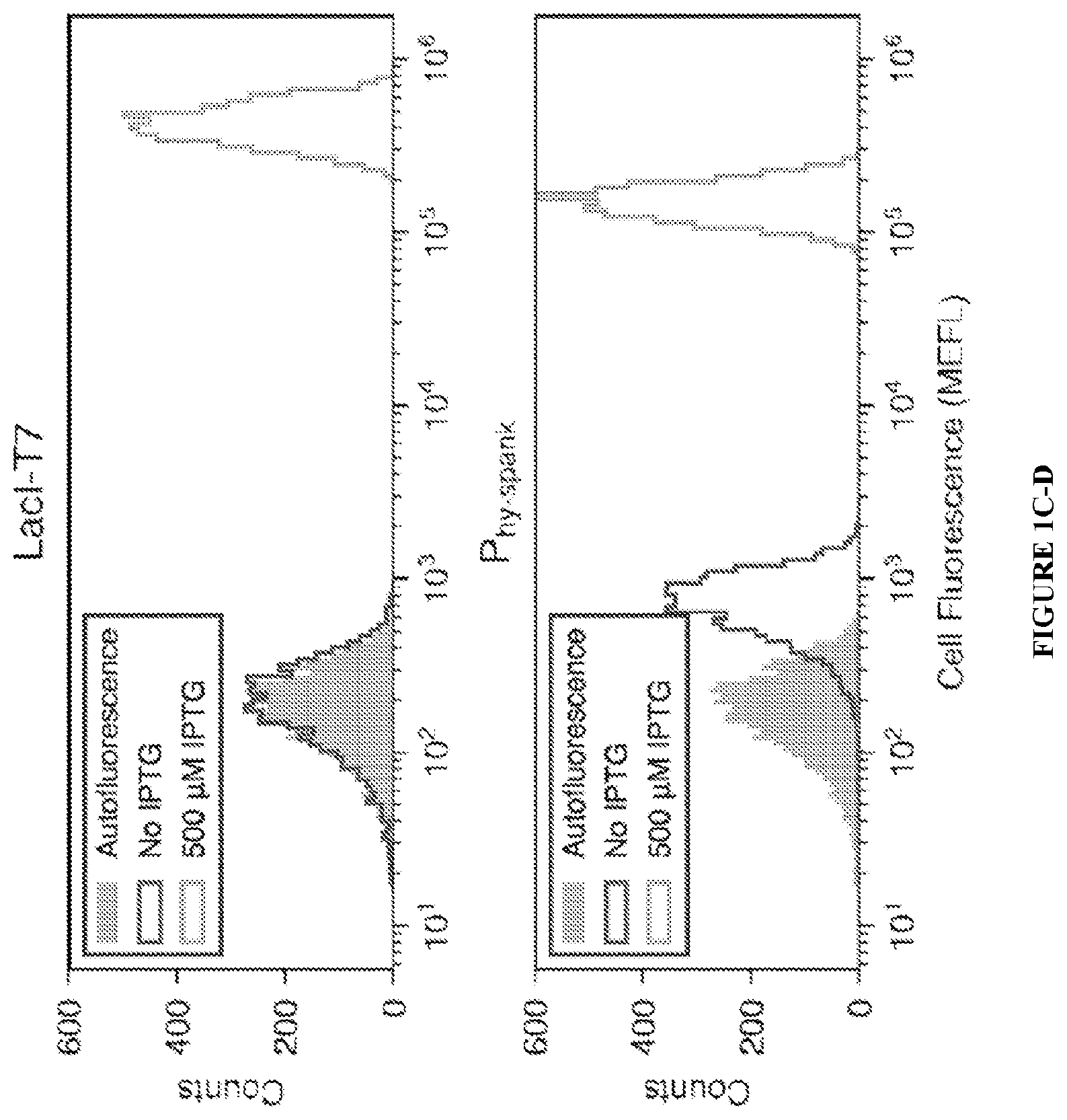 Patent US12460215 Figure 3 – Bacillus expression system