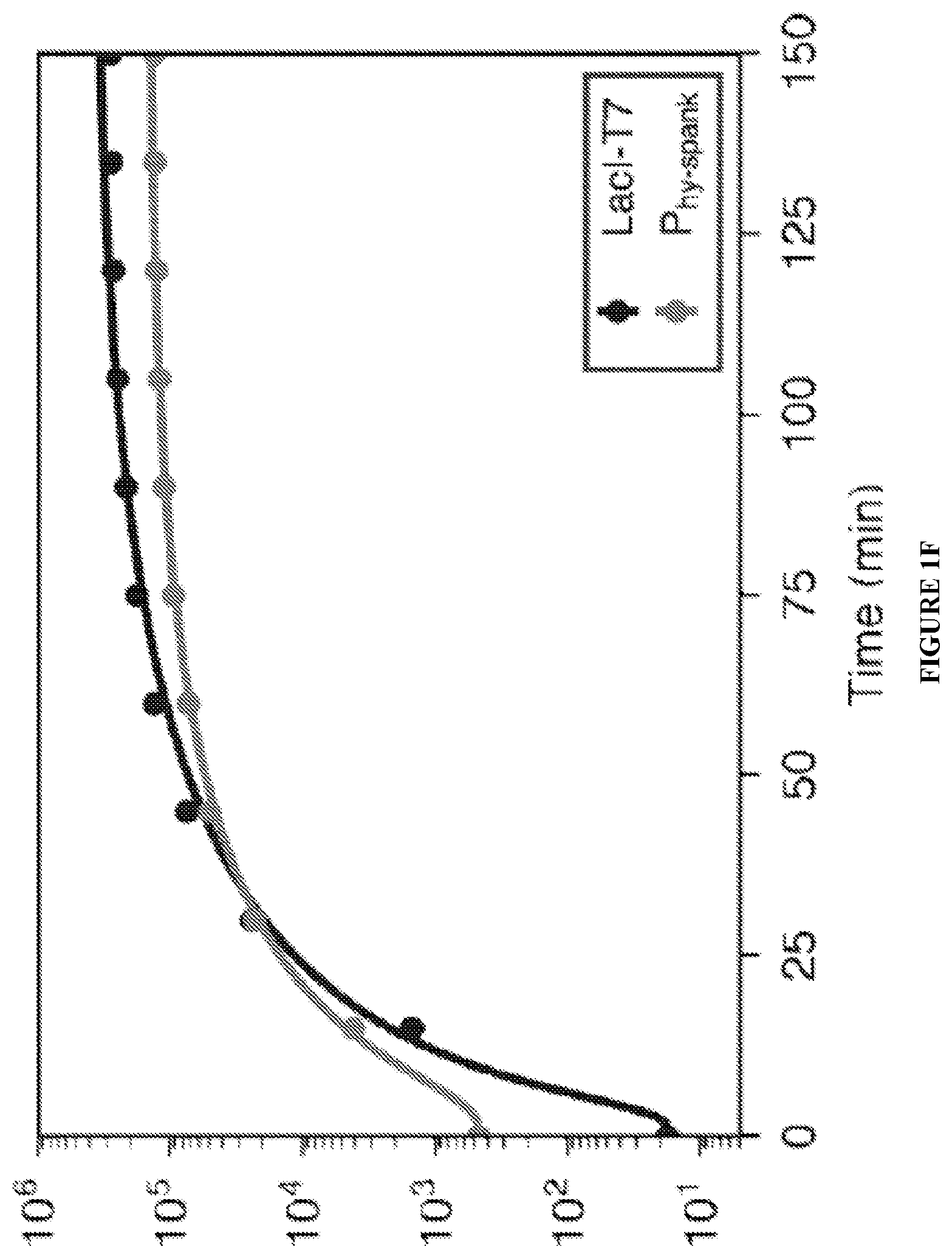 Patent US12460215 Figure 5 – Bacillus expression system
