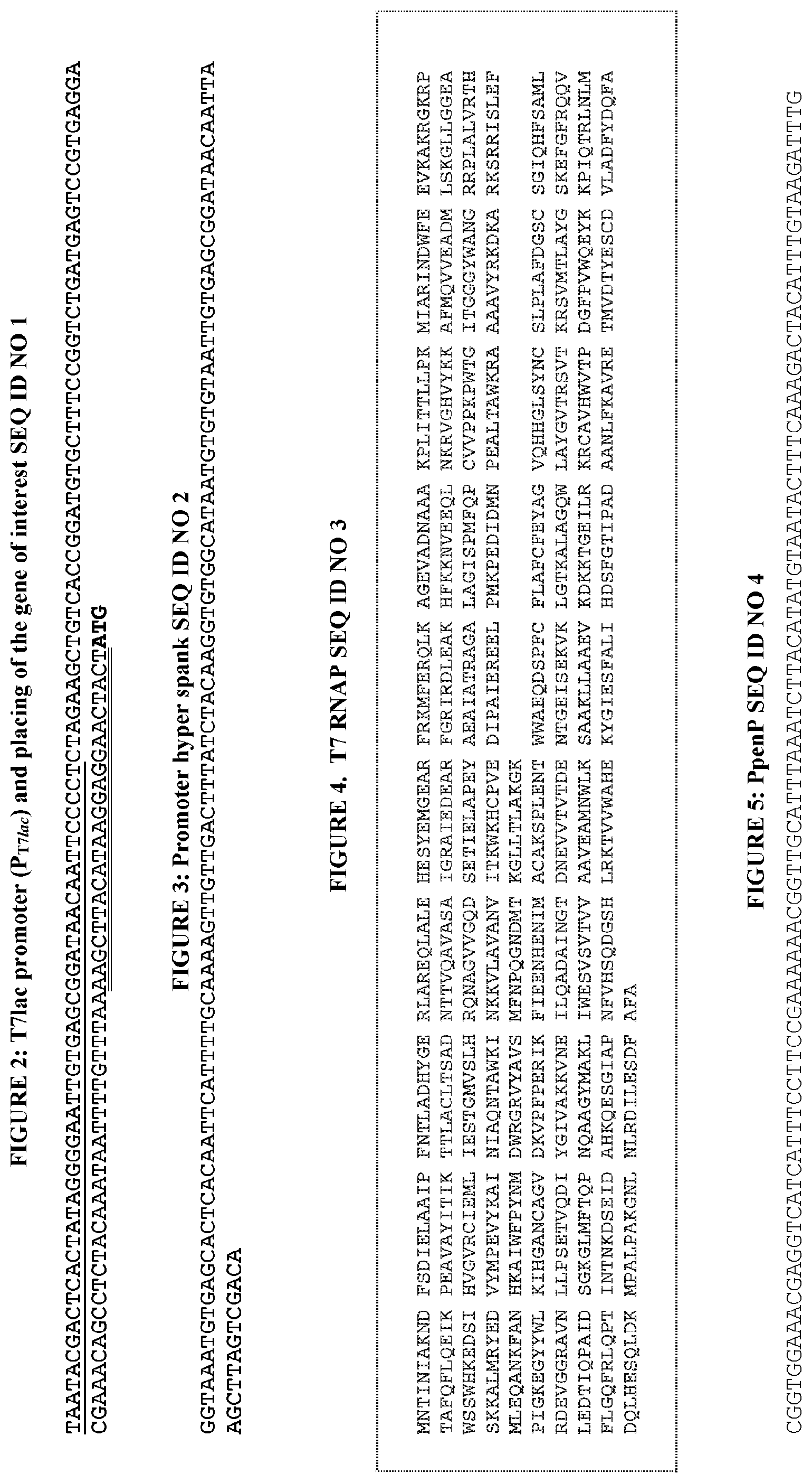 Patent US12460215 Figure 6 – Bacillus expression system