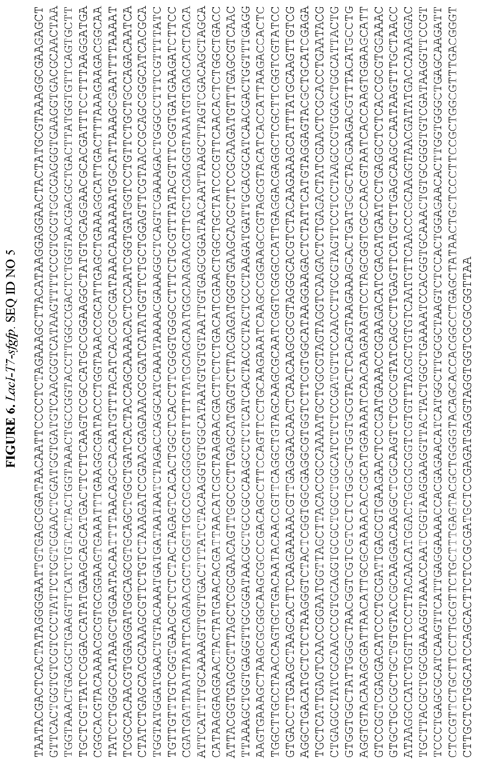 Patent US12460215 Figure 7 – Bacillus expression system
