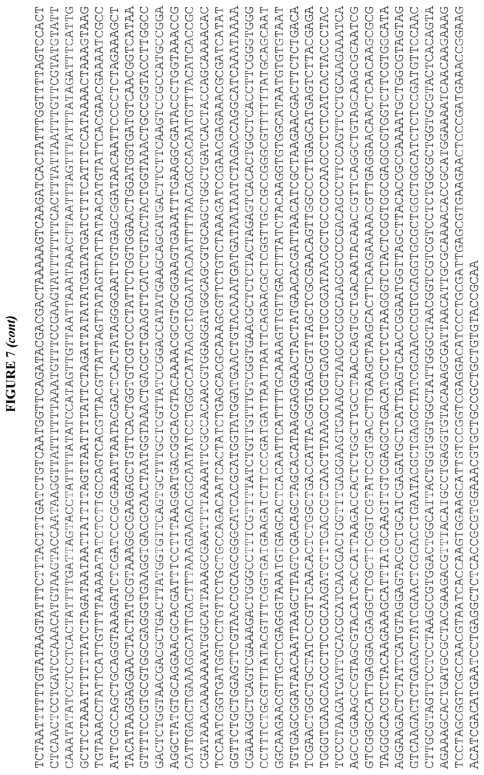 Patent US12460215 Figure 10 – Bacillus expression system
