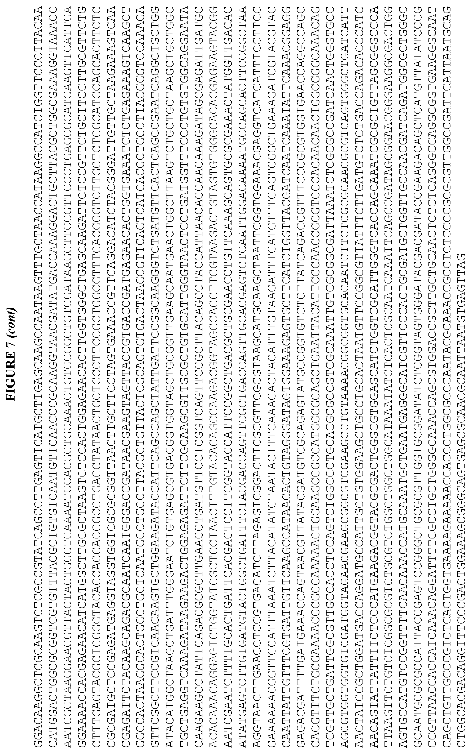 Patent US12460215 Figure 11 – Bacillus expression system