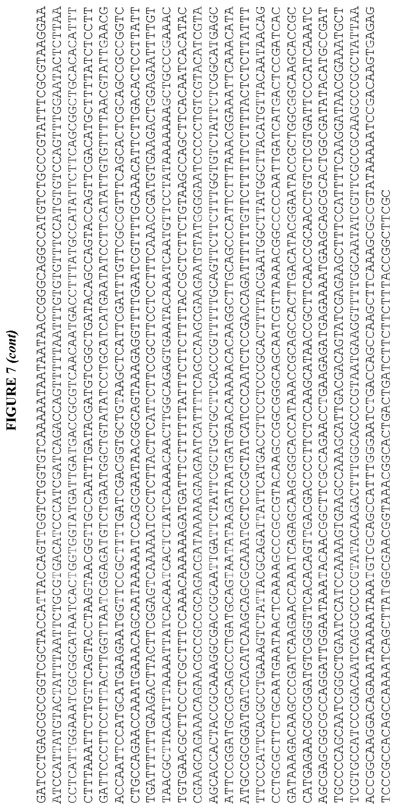 Patent US12460215 Figure 12 – Bacillus expression system